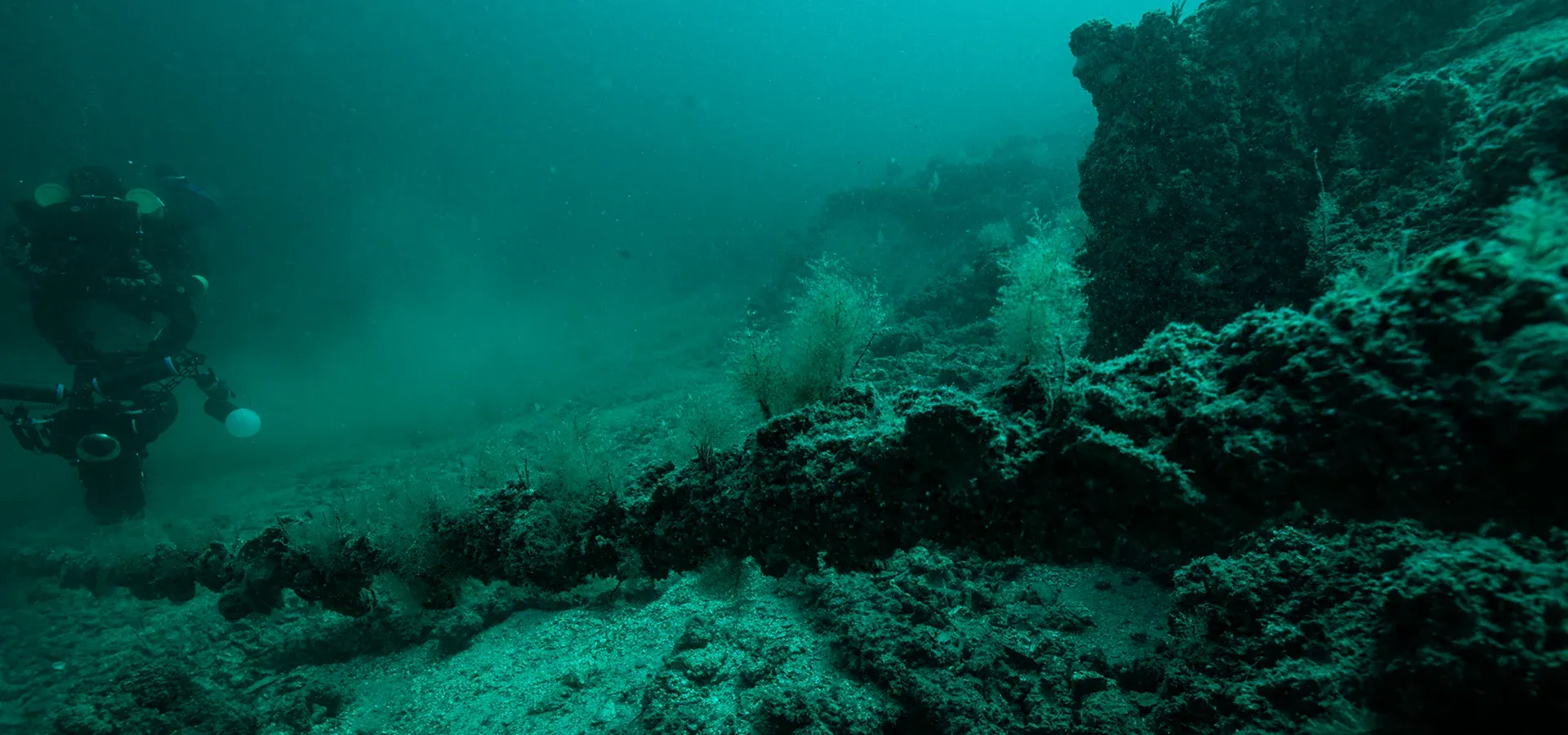 Submarine Mania Network