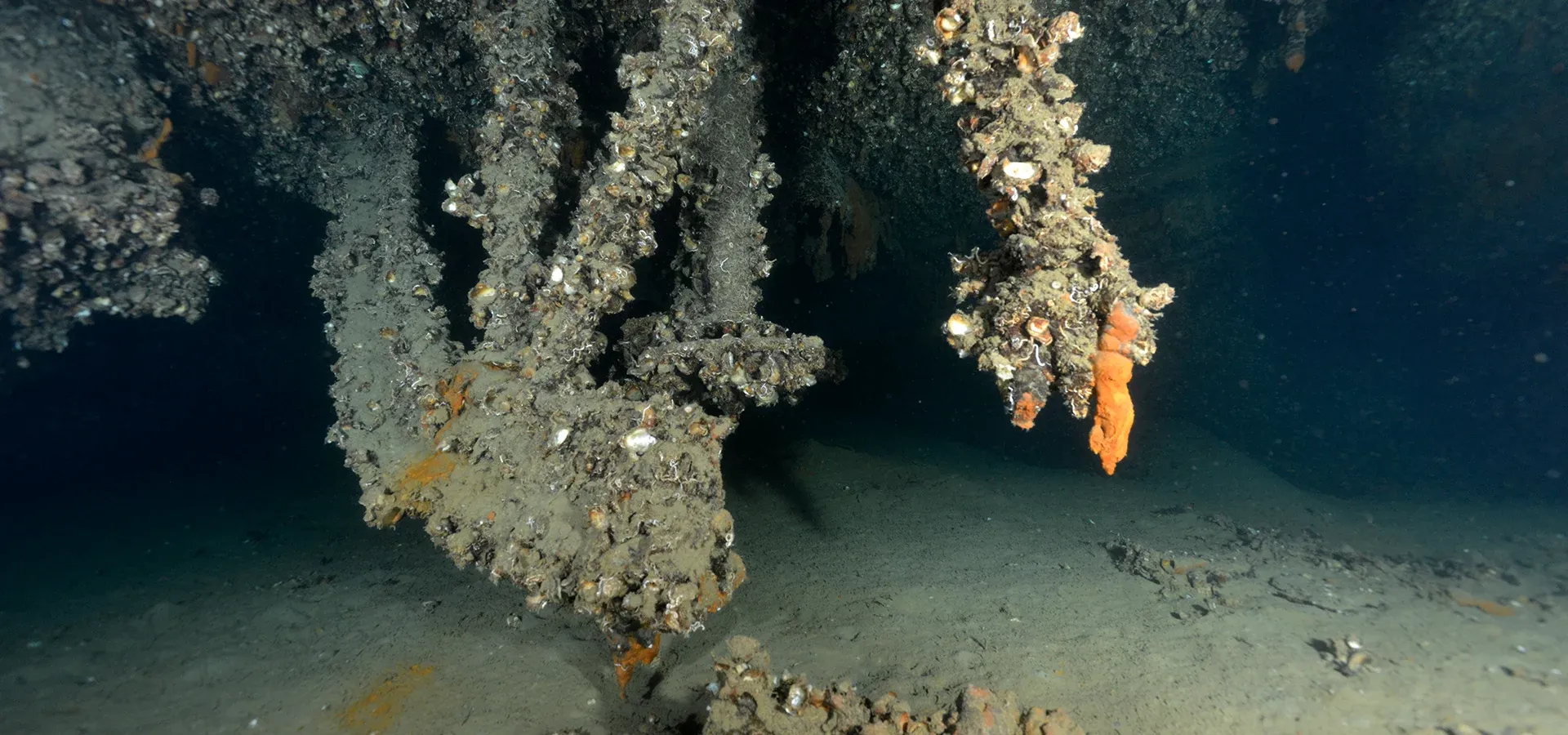 HMS TRIUMPH