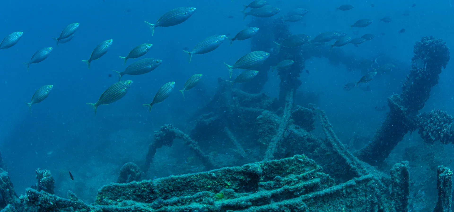 Mesudiye Battleship