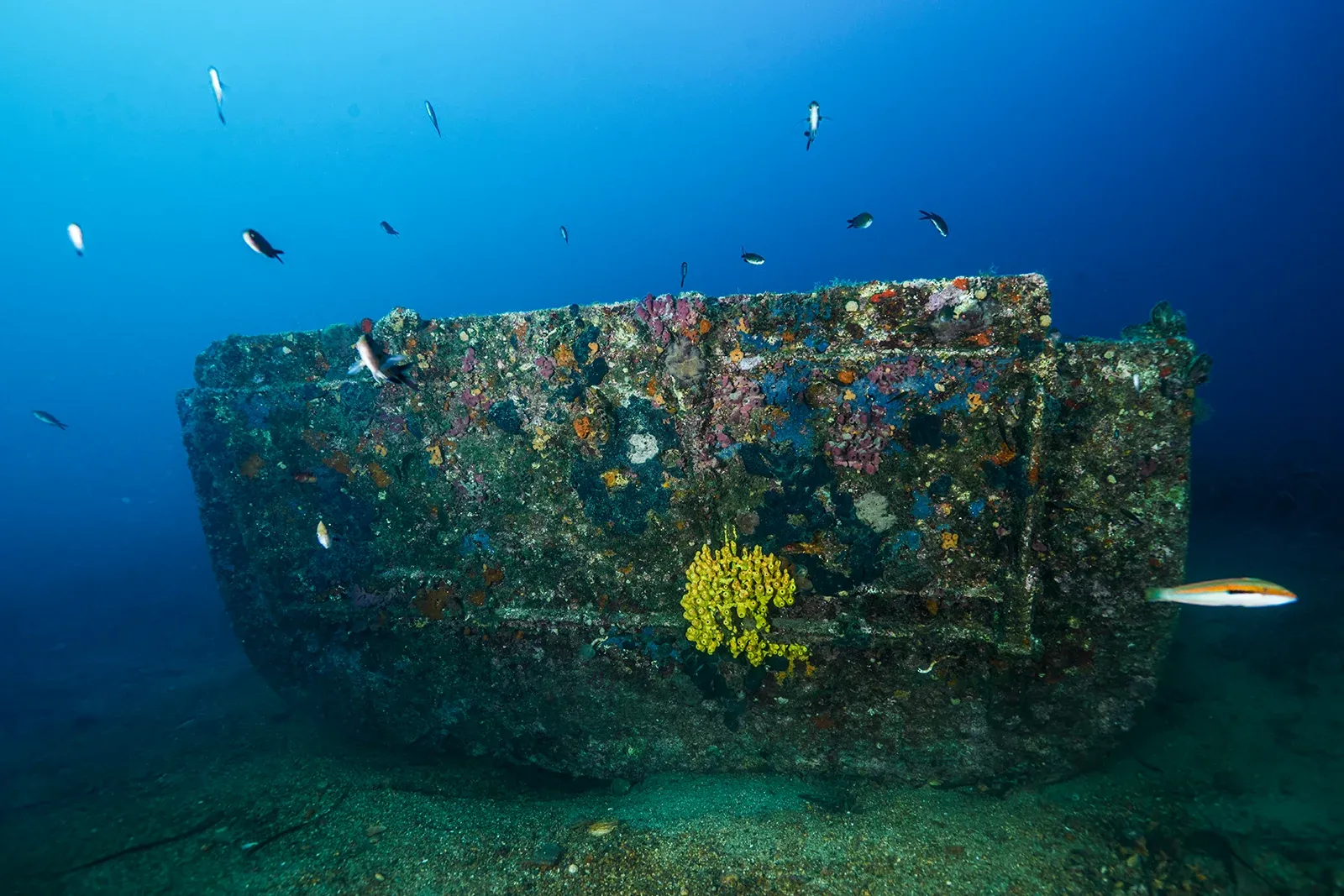 Diving Gelibolu