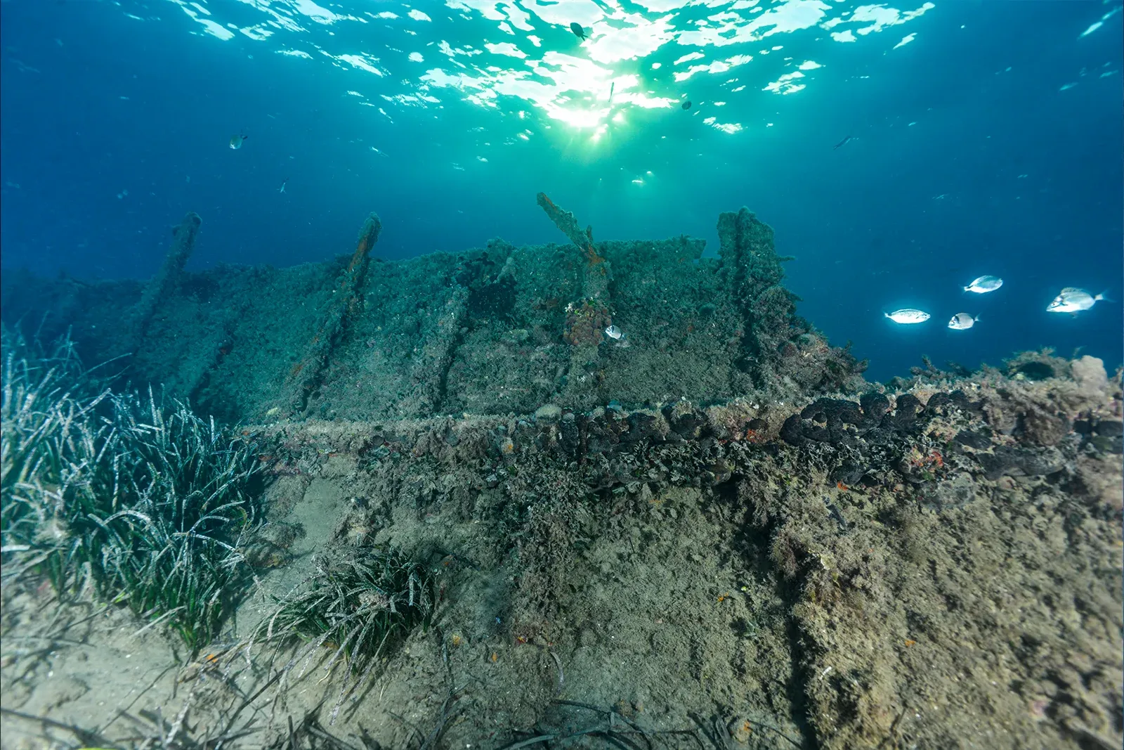 Diving Gelibolu