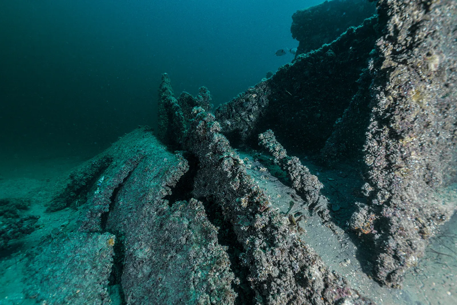 Diving Gelibolu
