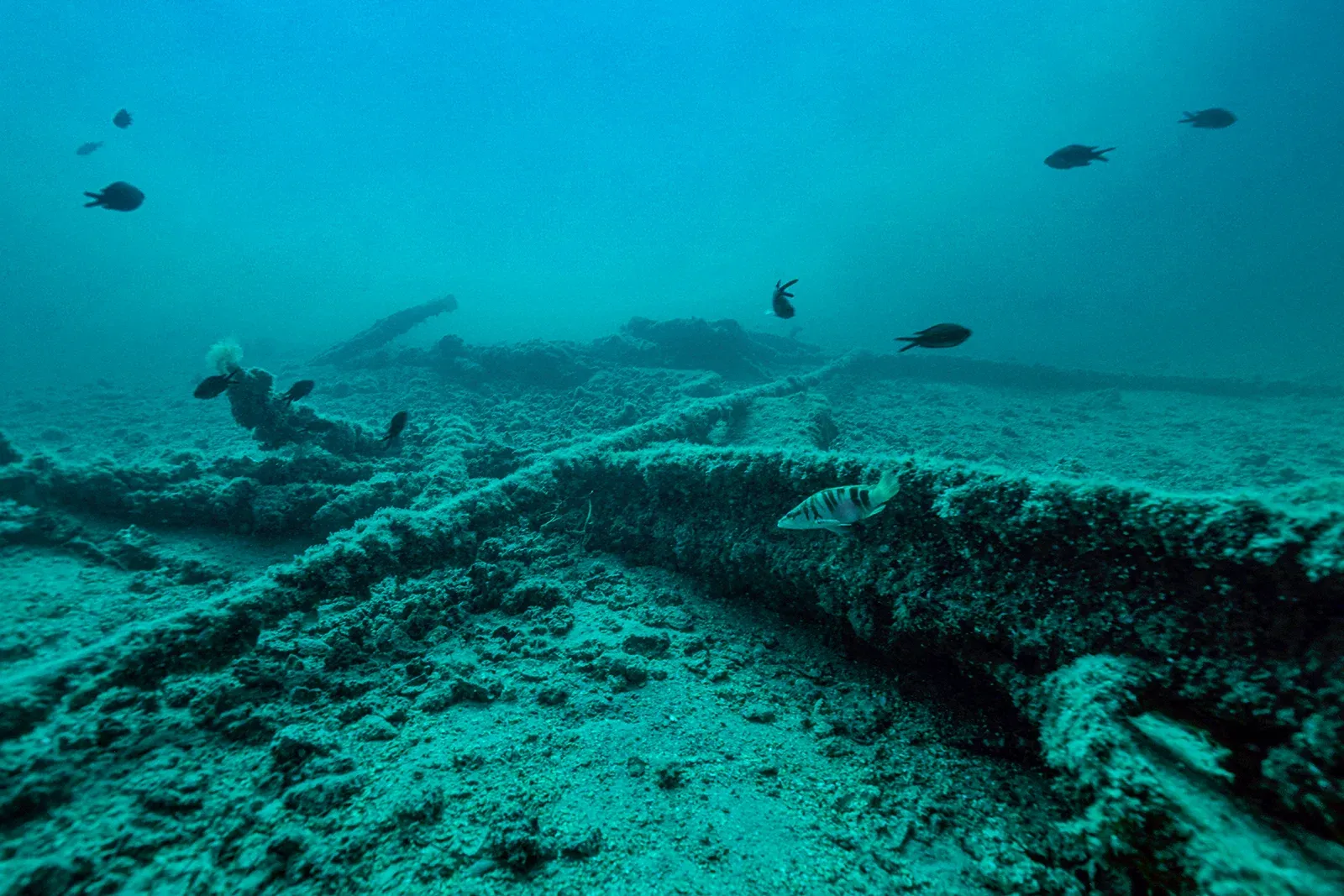 Diving Gelibolu