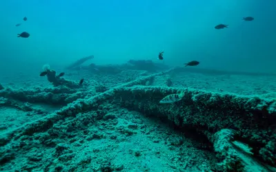 Submarine Mania Network