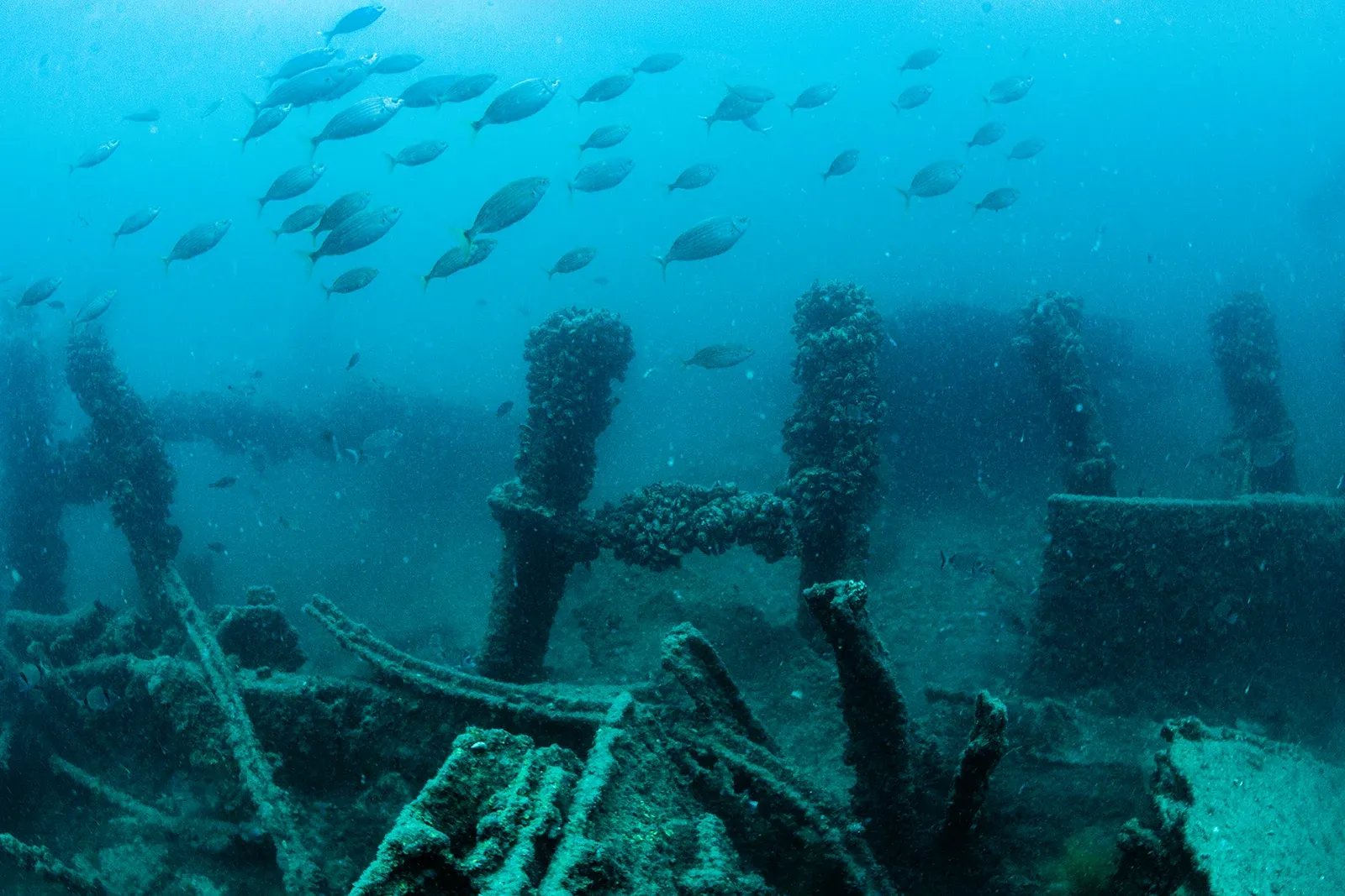 Diving Gelibolu
