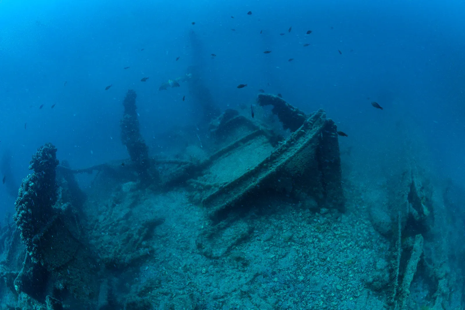 Diving Gelibolu