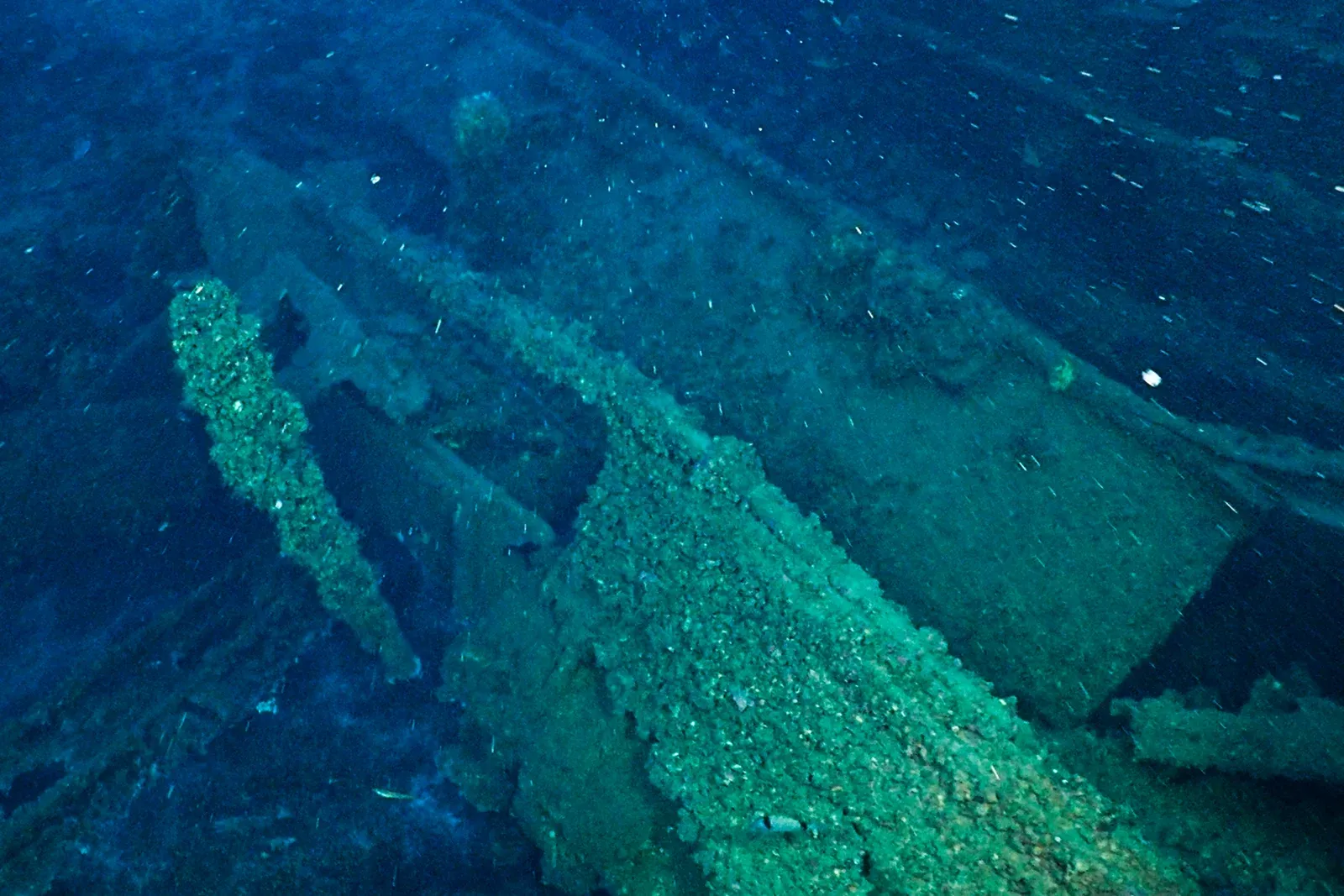 Diving Gelibolu