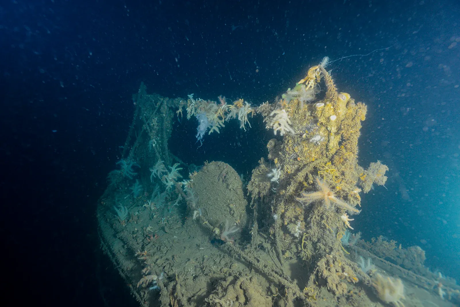 Diving Gelibolu