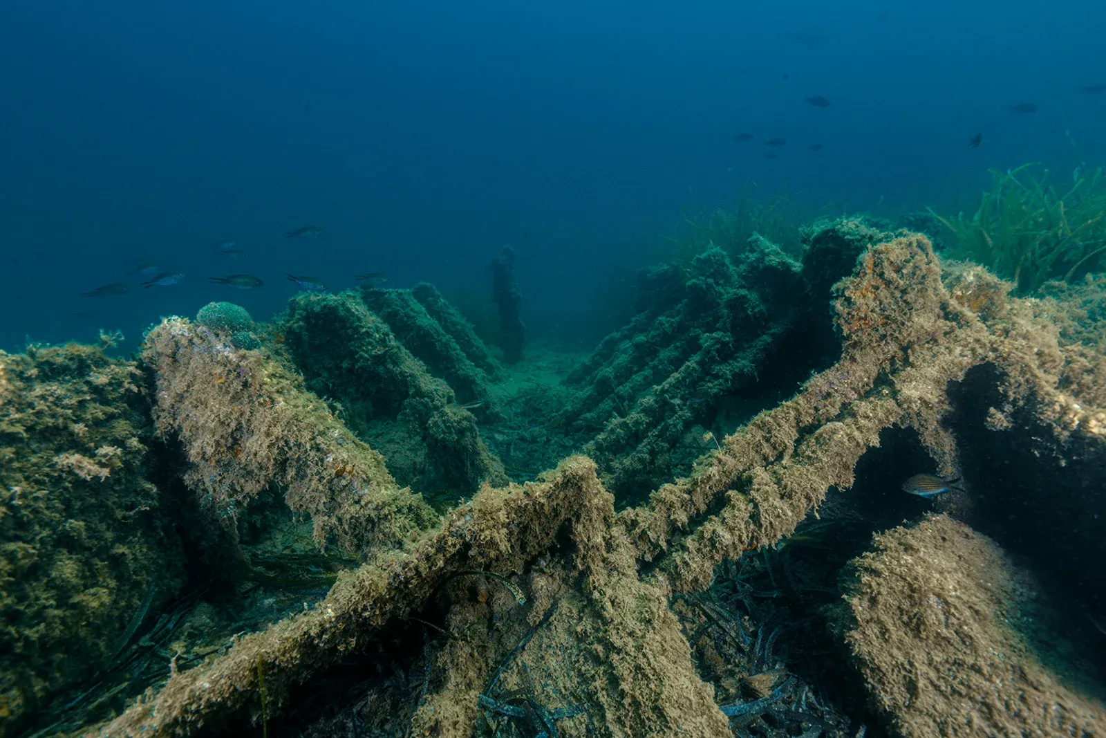Diving Gelibolu