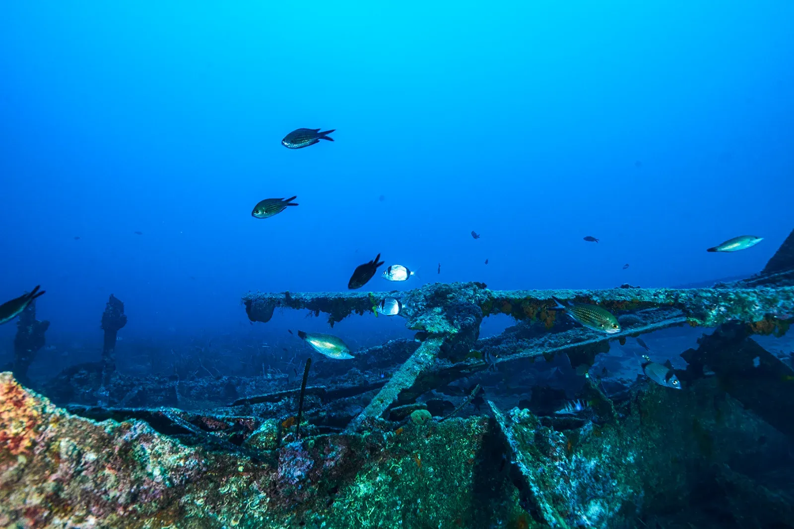 Diving Gelibolu