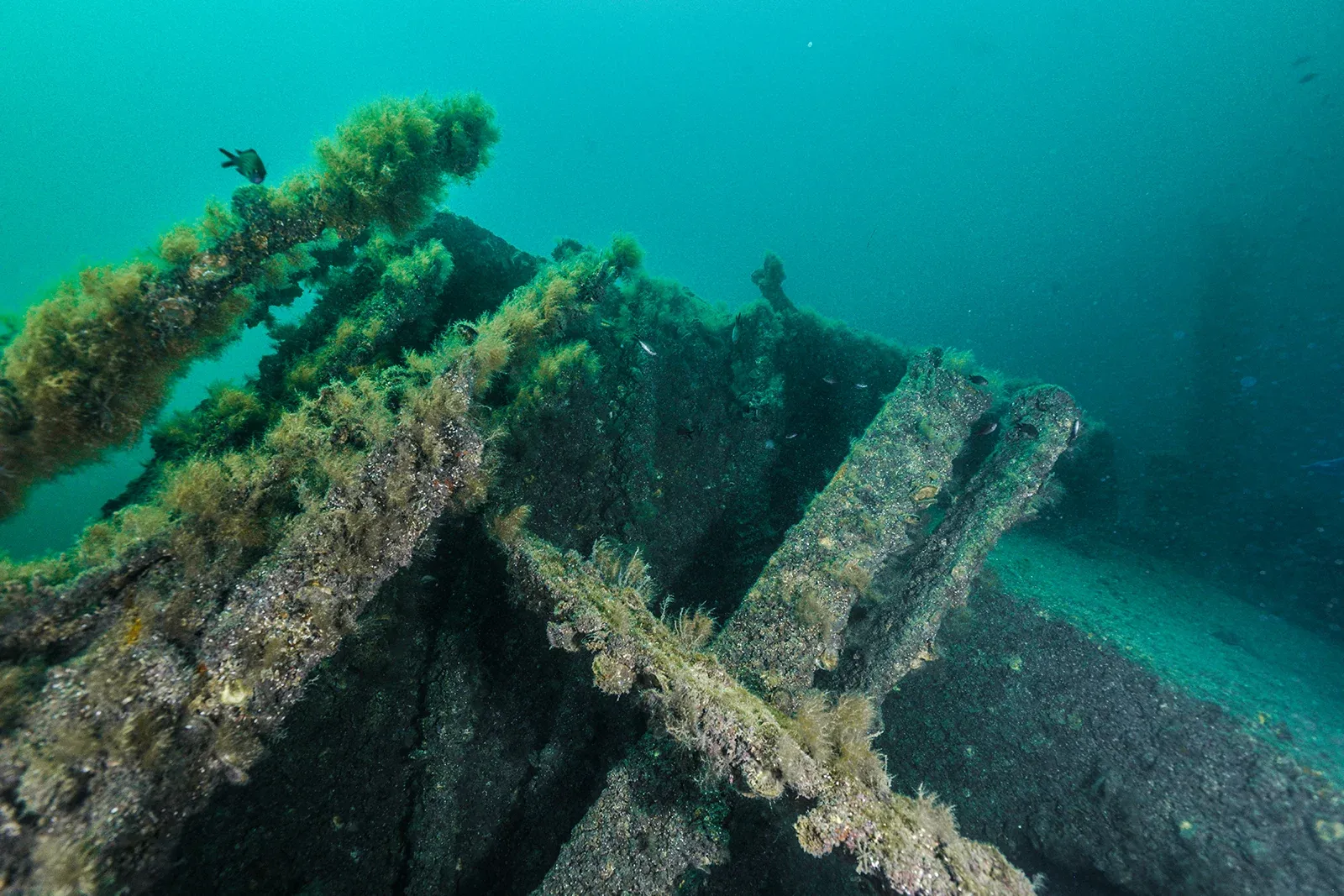 Diving Gelibolu