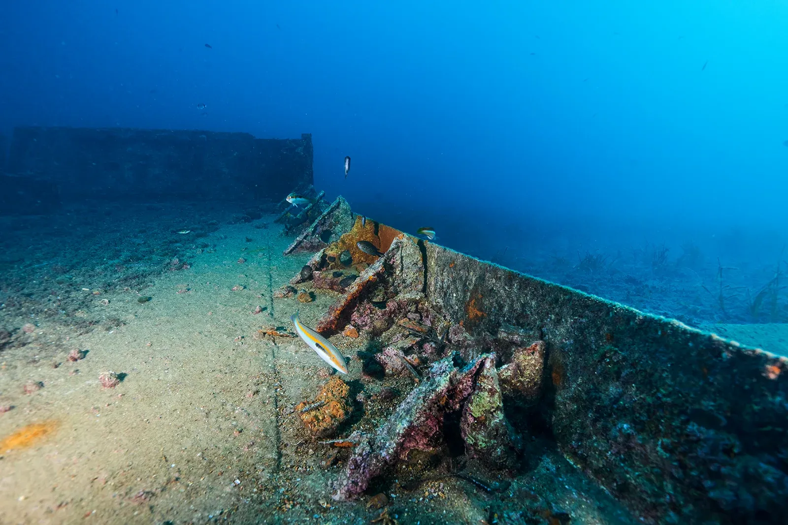 Diving Gelibolu