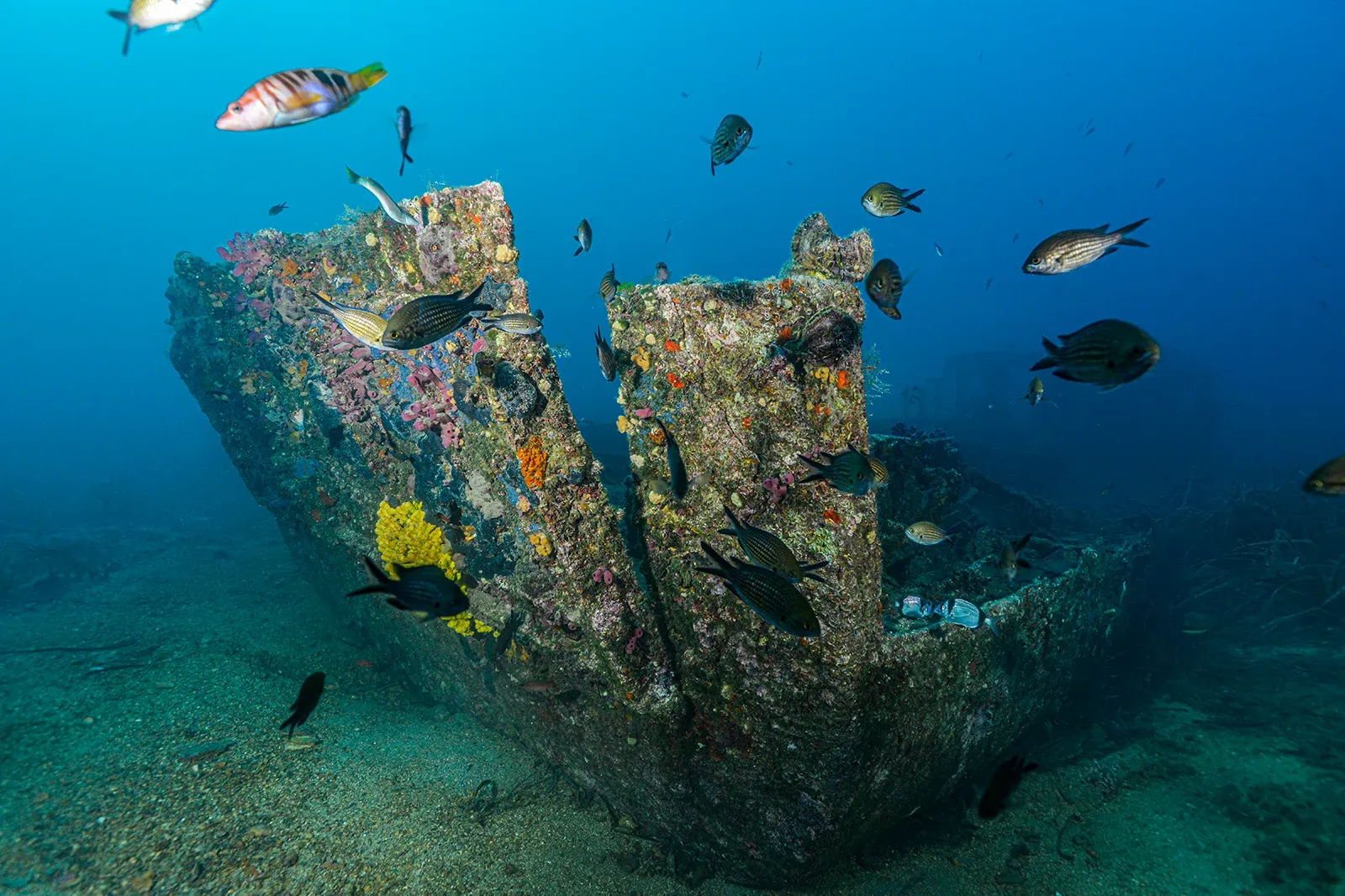 Diving Gelibolu