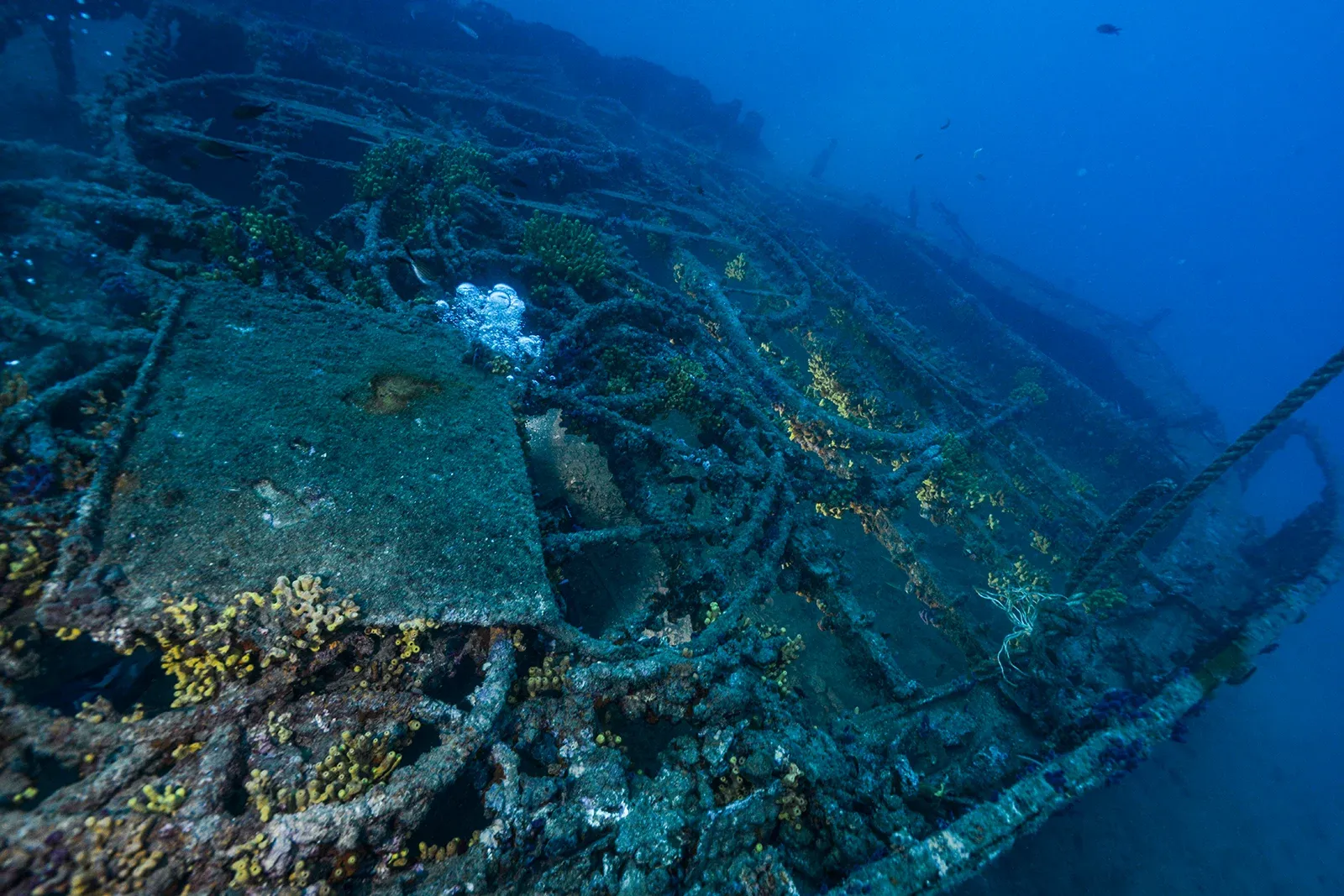 Diving Gelibolu