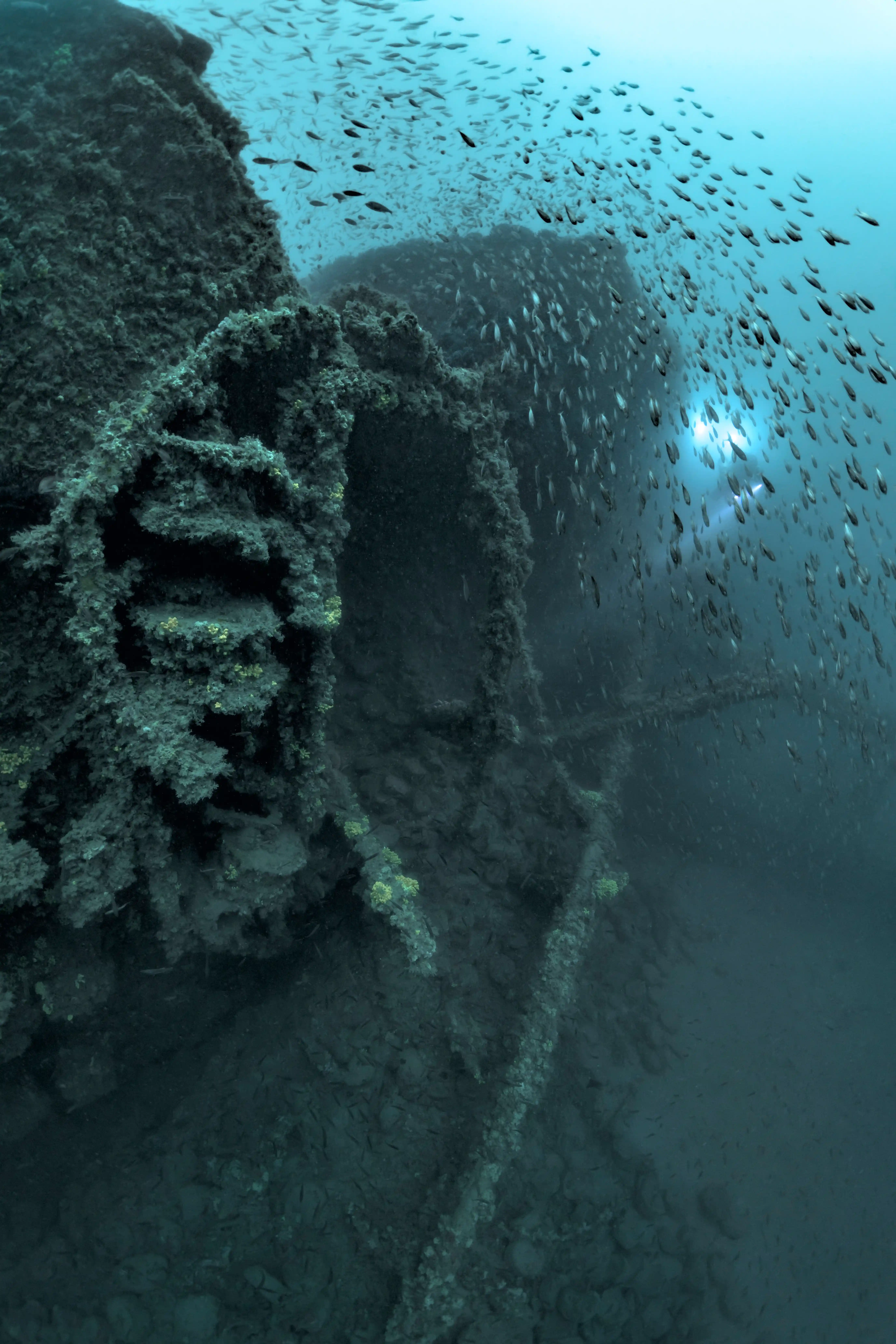 Diving Gelibolu