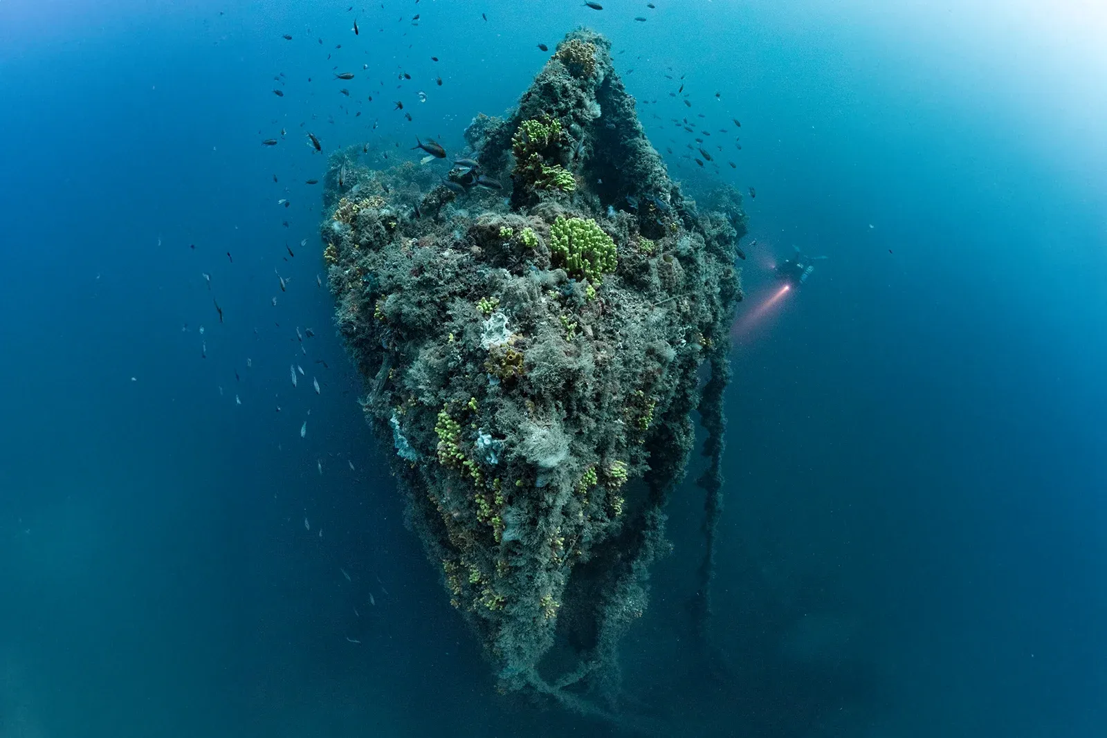Diving Gelibolu