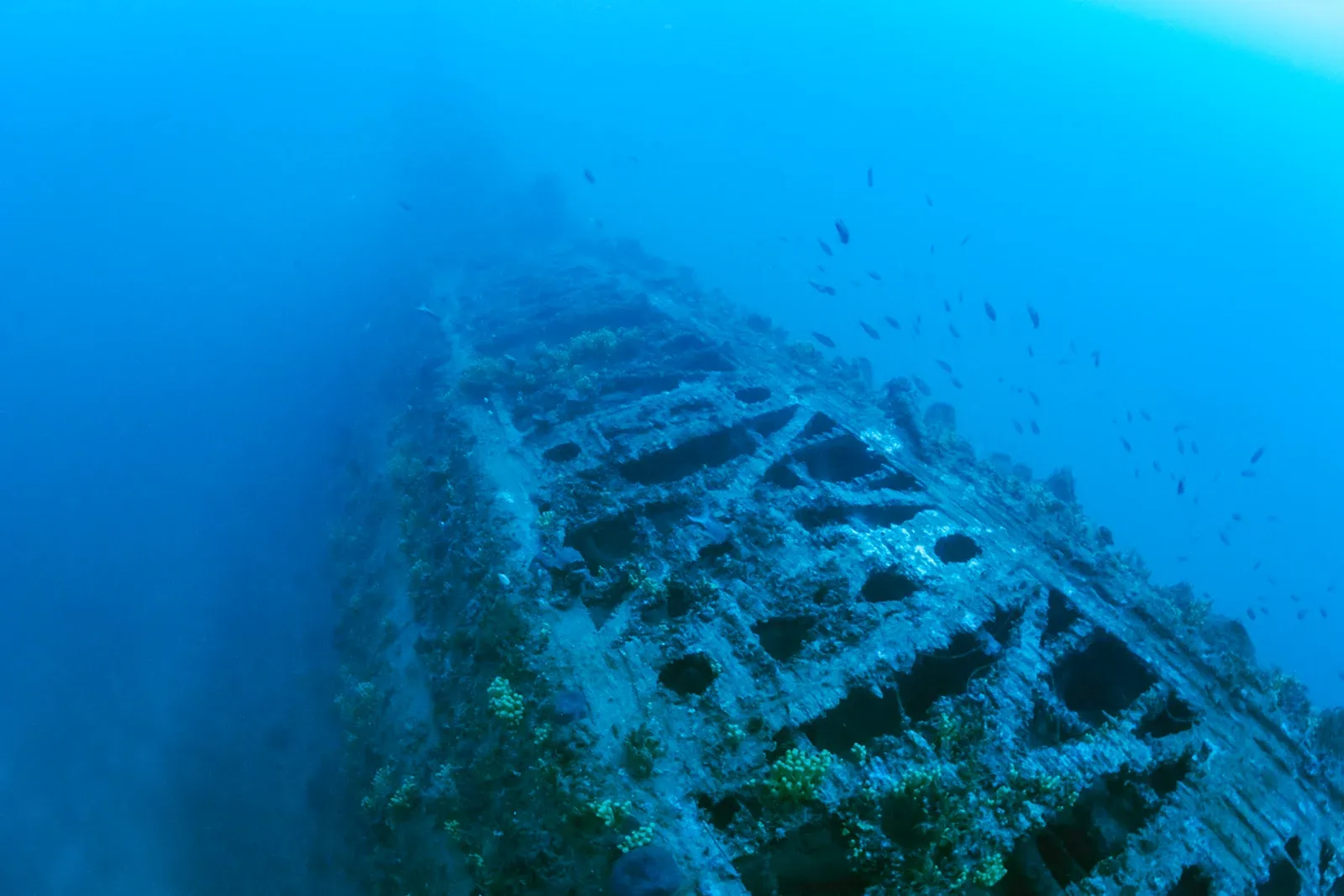 Diving Gelibolu