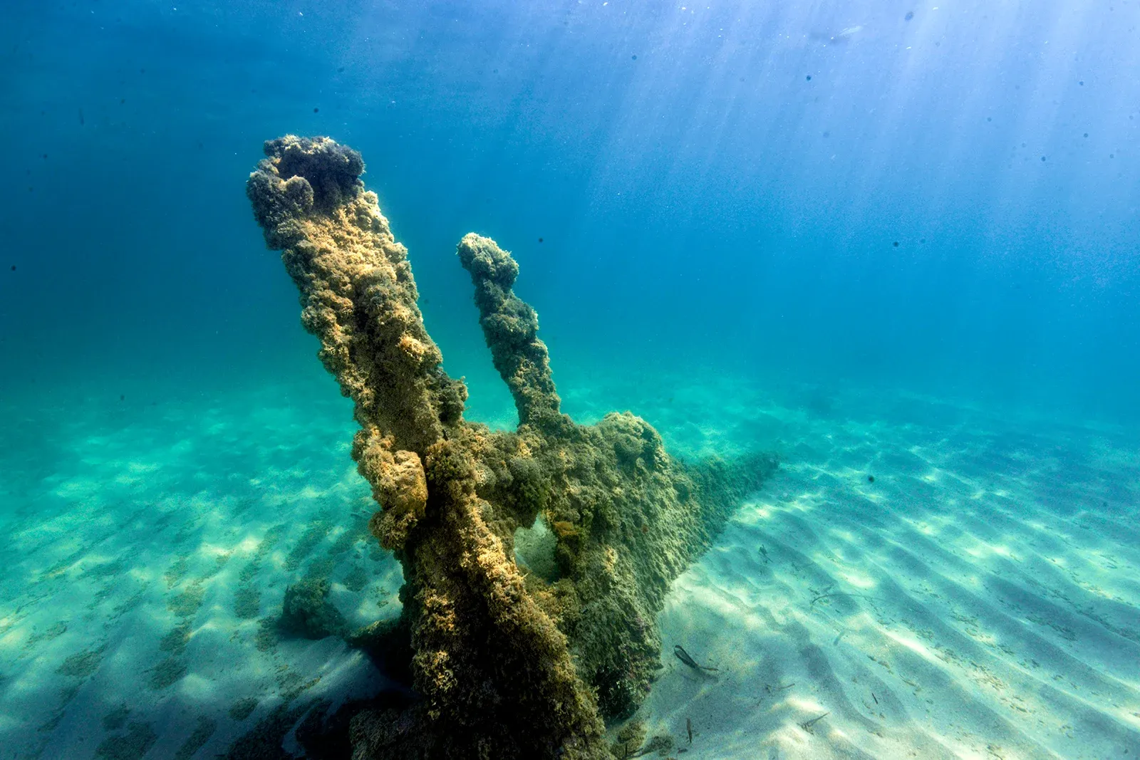 Diving Gelibolu