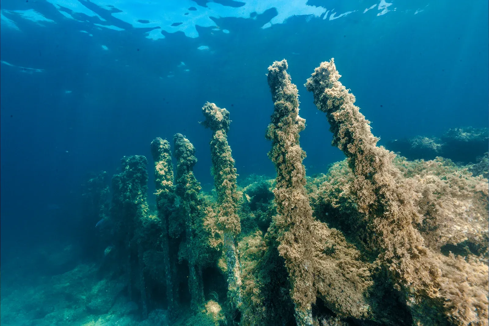 Diving Gelibolu