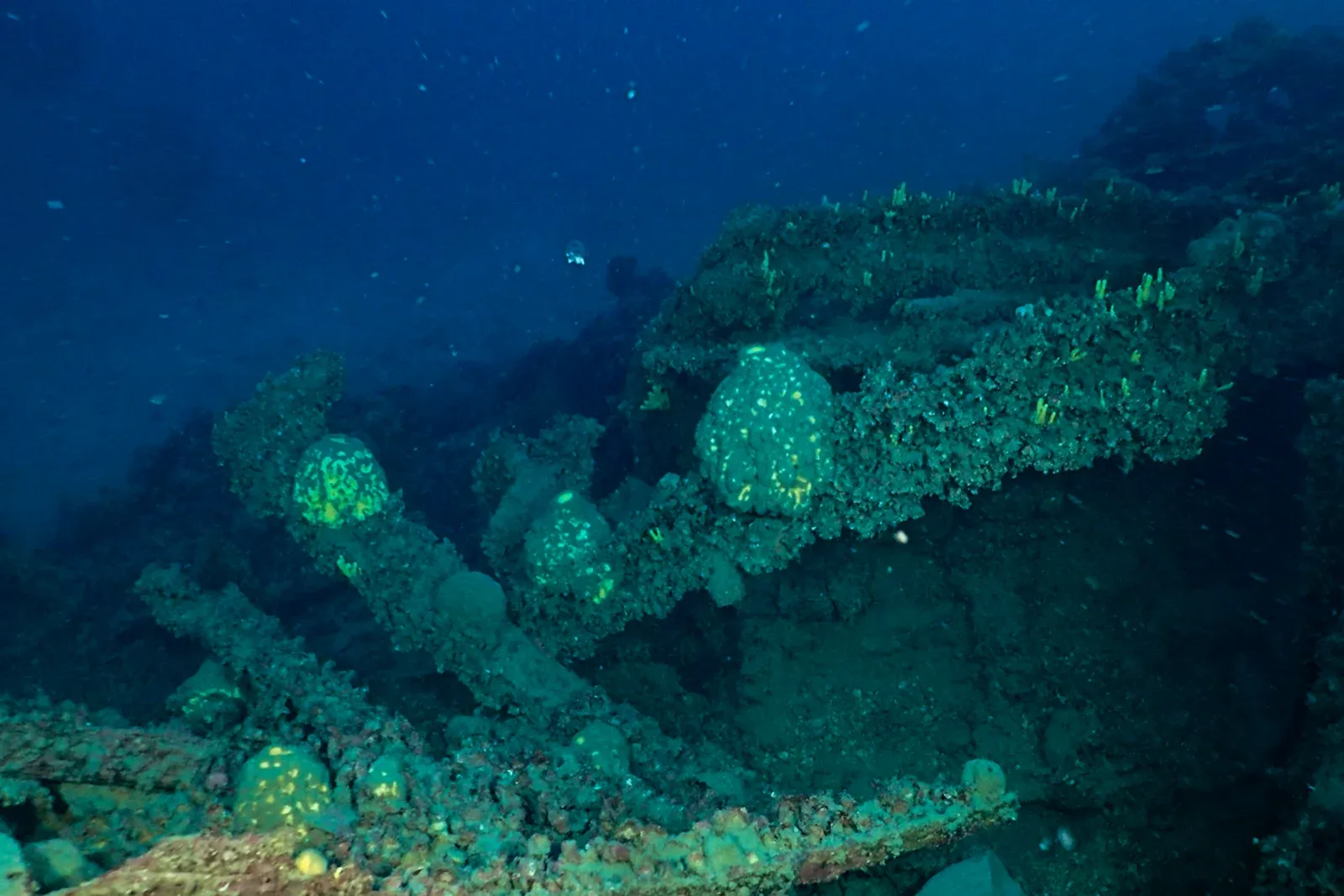 Diving Gelibolu