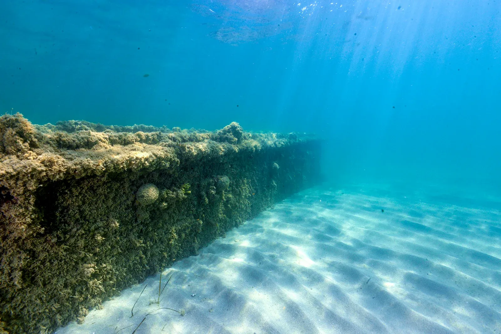 Diving Gelibolu