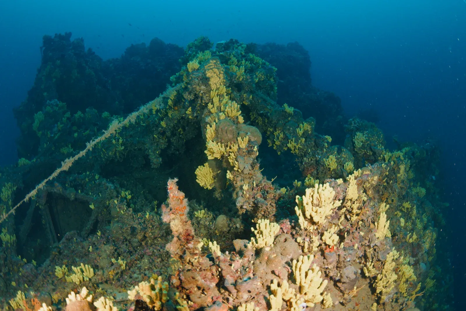 Diving Gelibolu