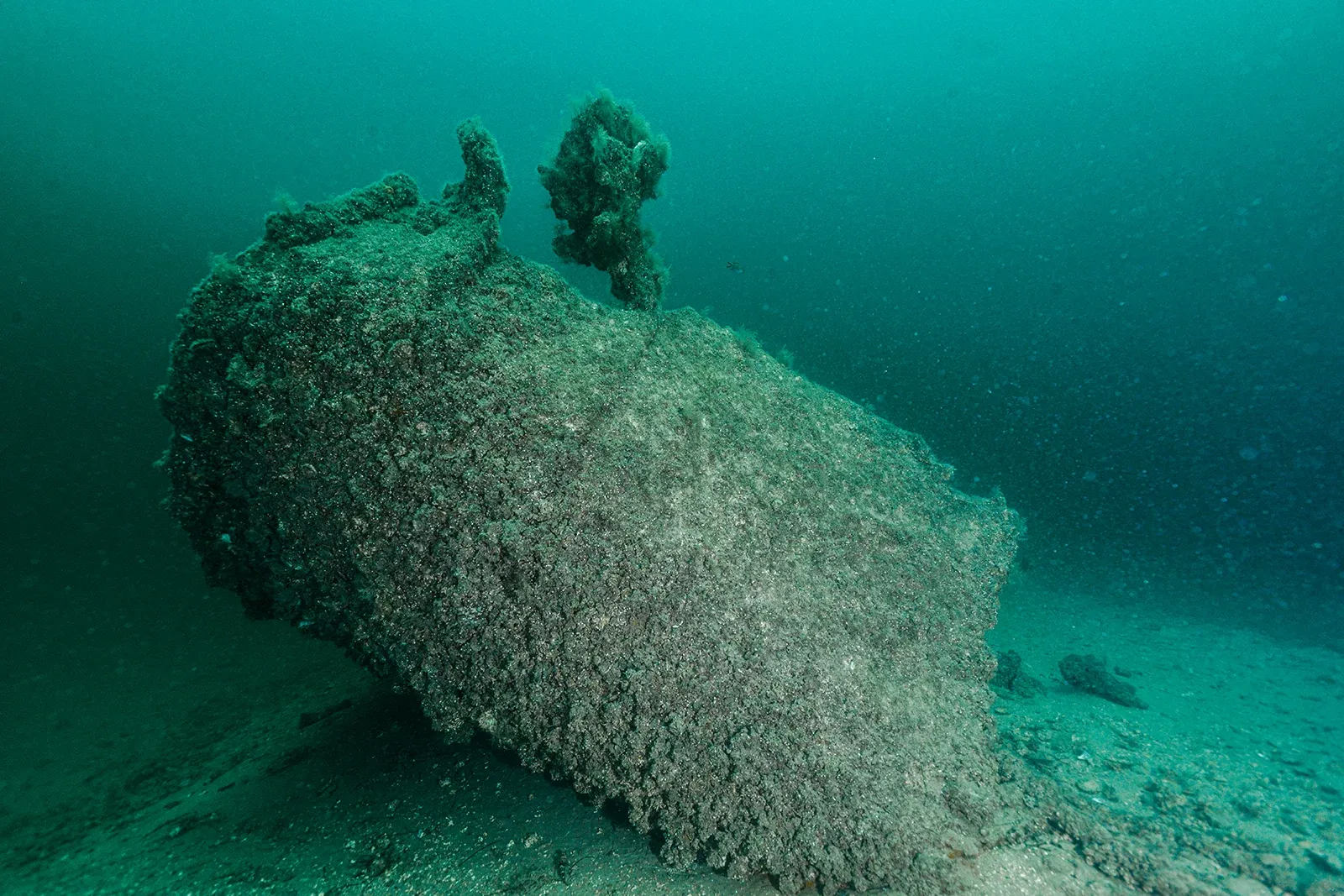 Diving Gelibolu