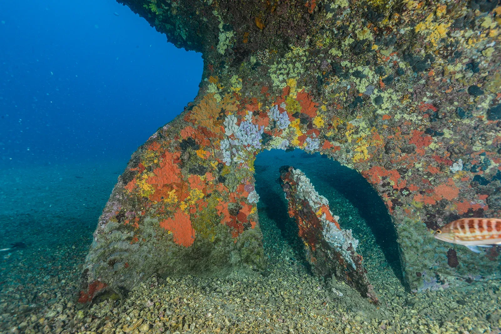 Diving Gelibolu