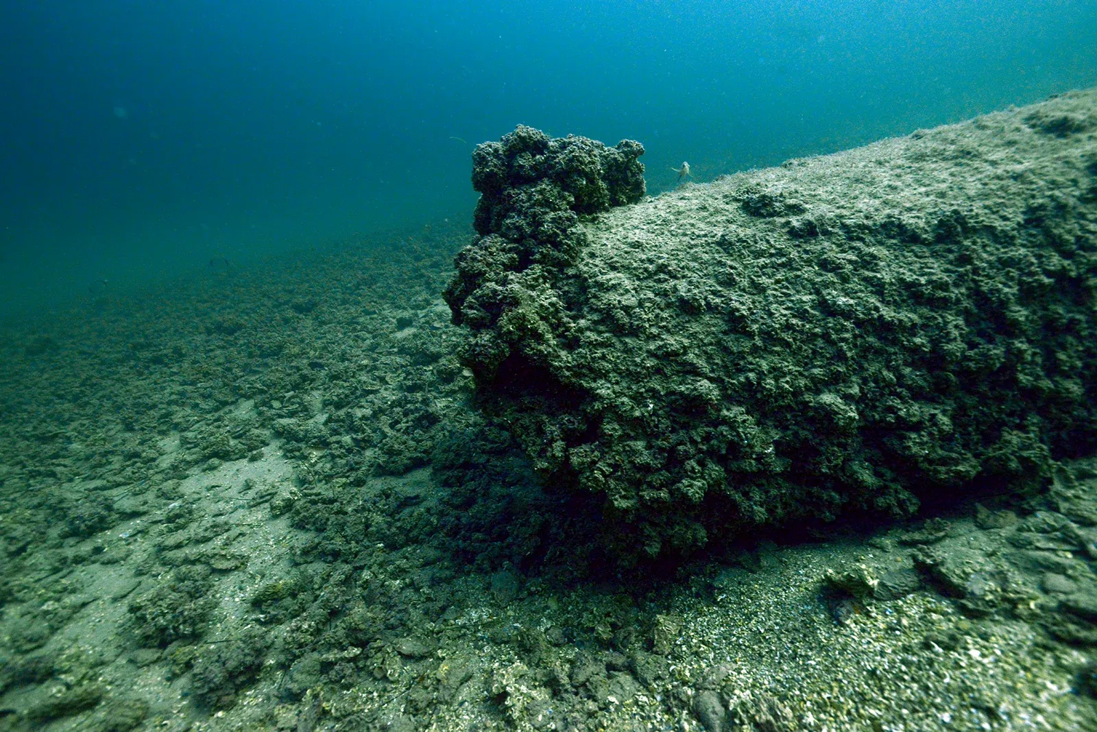 Diving Gelibolu