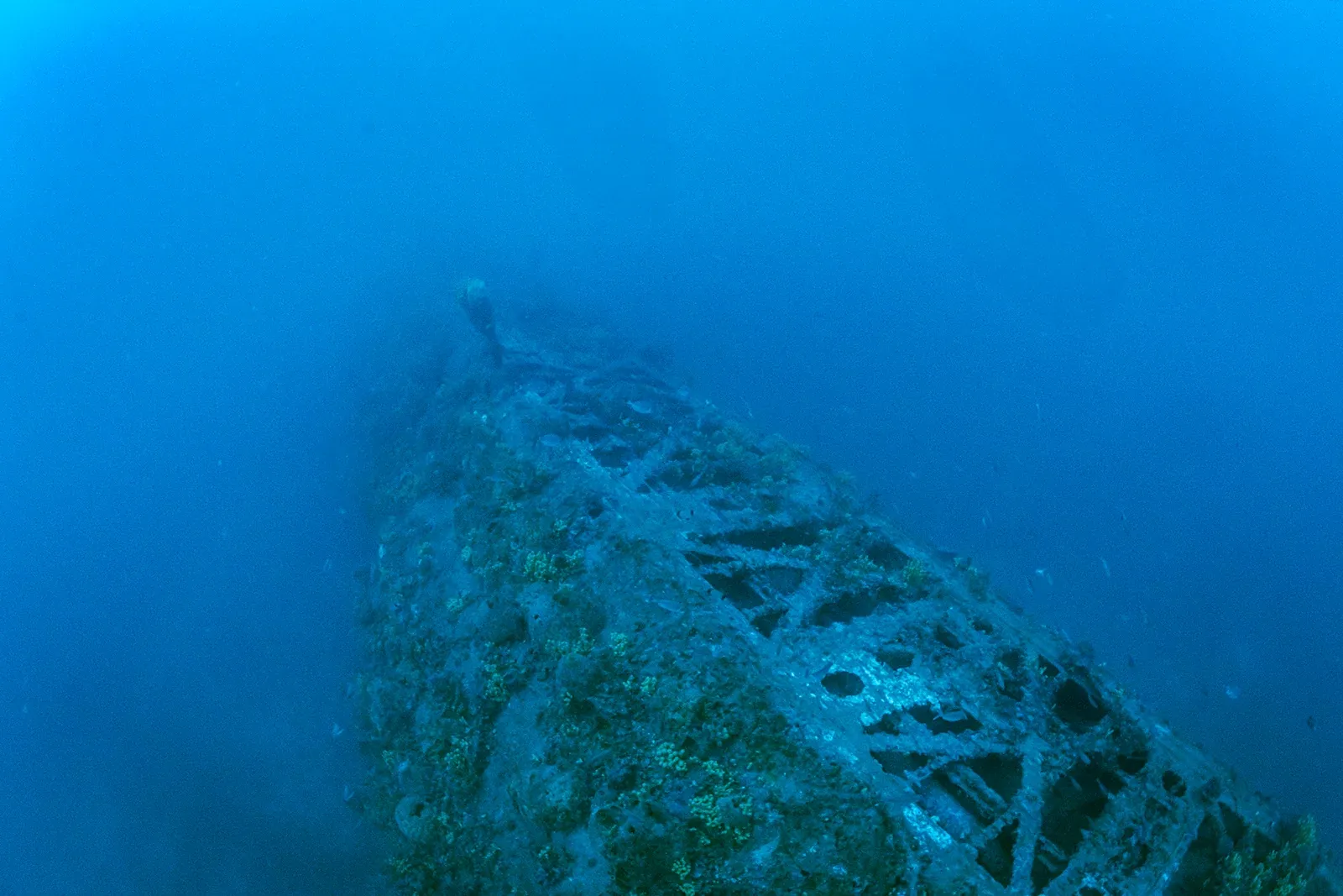 Diving Gelibolu