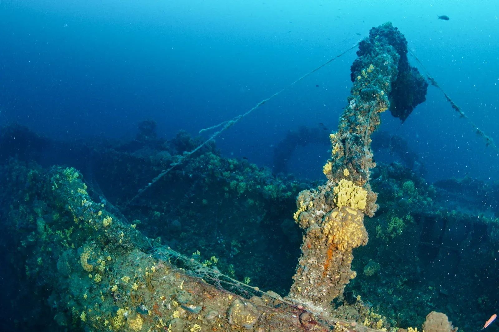 Diving Gelibolu