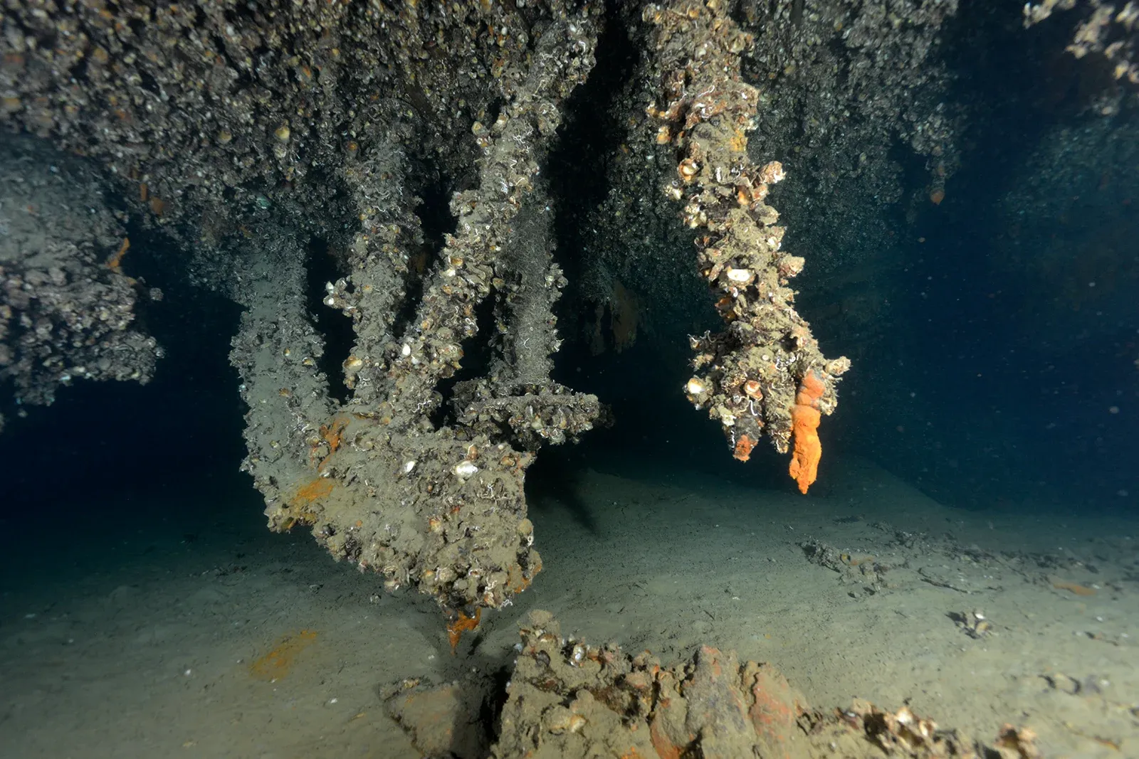 Diving Gelibolu