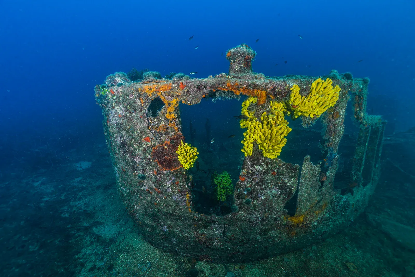 Diving Gelibolu