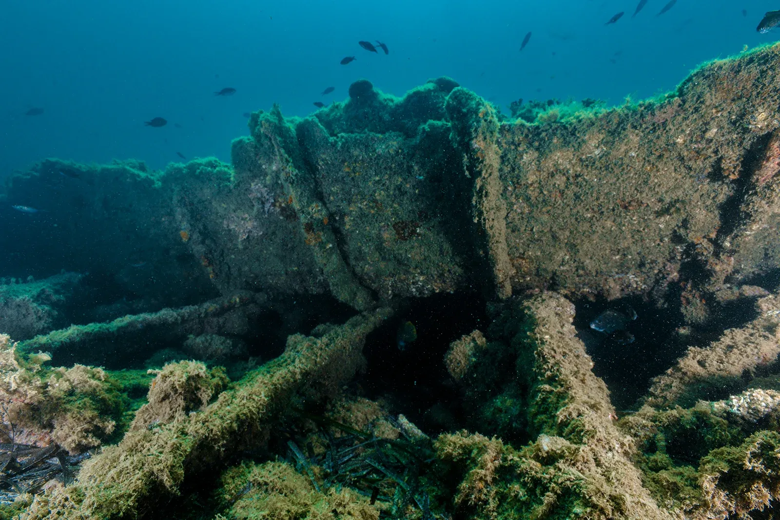 Diving Gelibolu