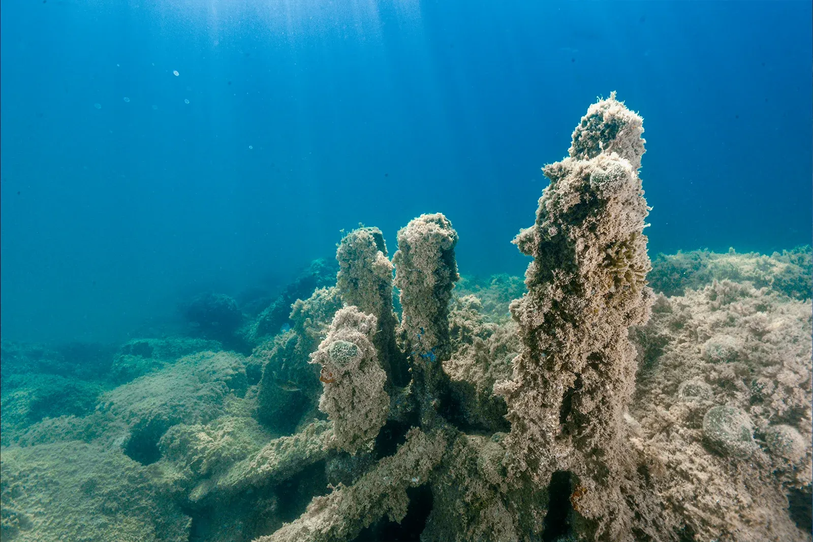Diving Gelibolu