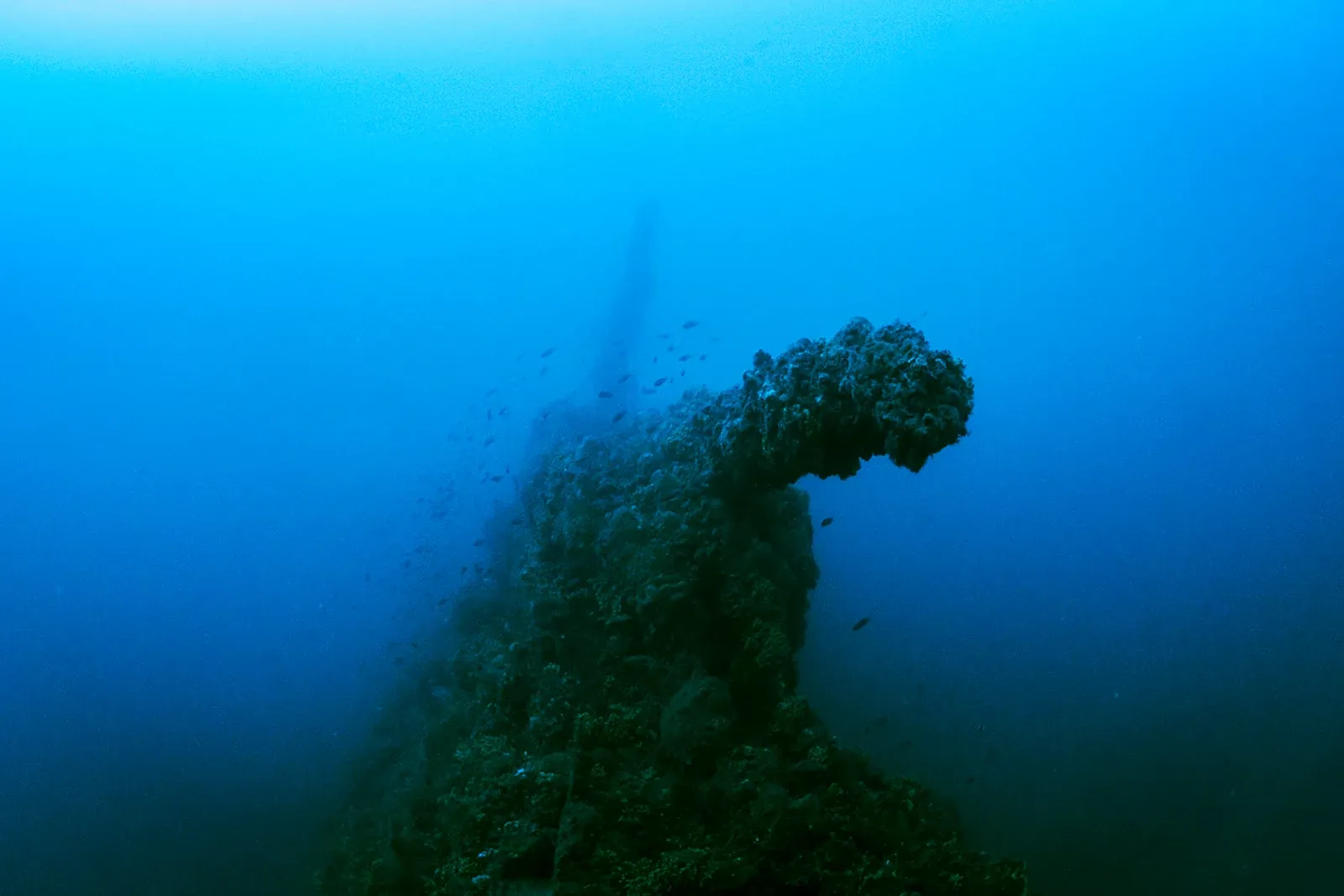Diving Gelibolu