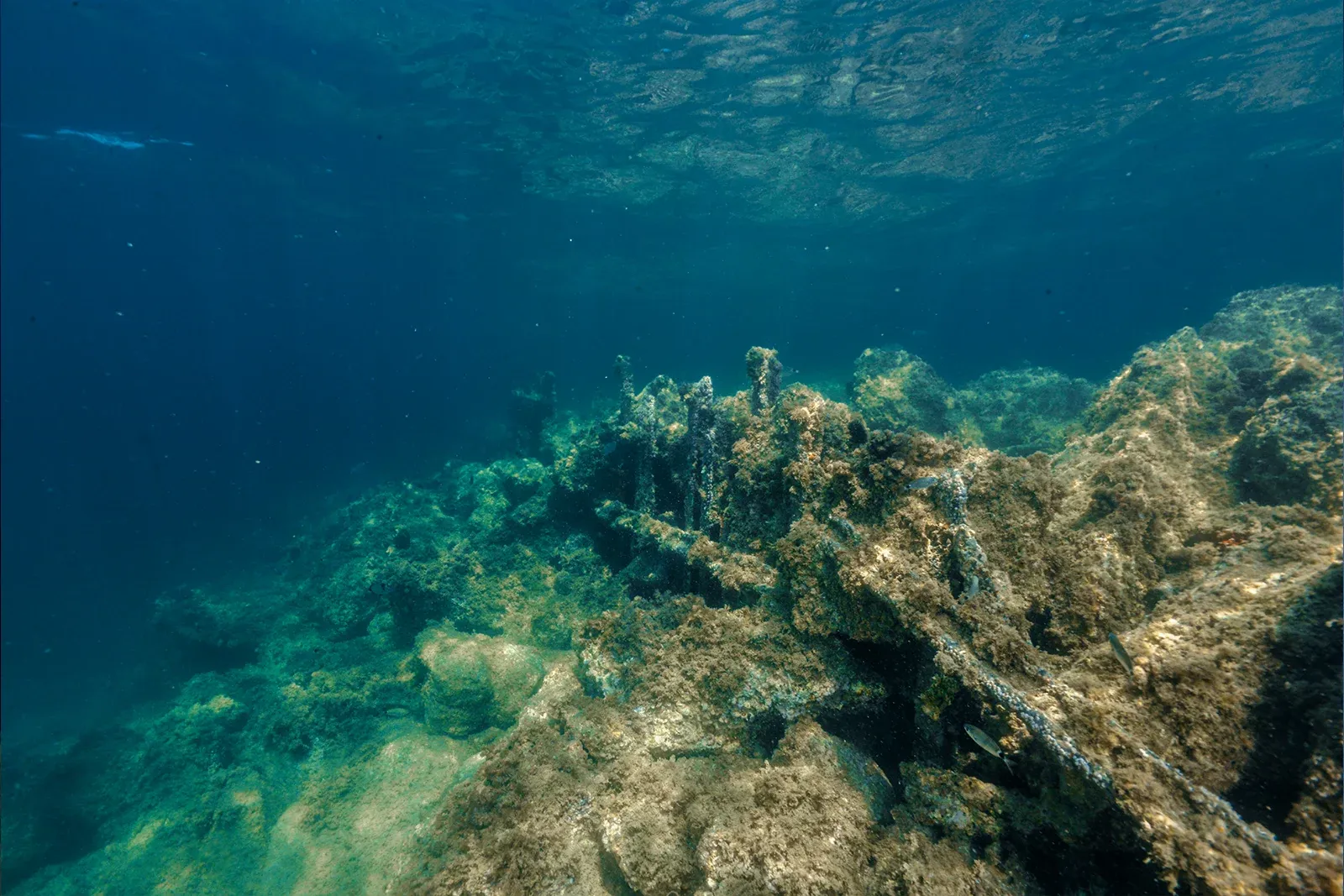 Diving Gelibolu