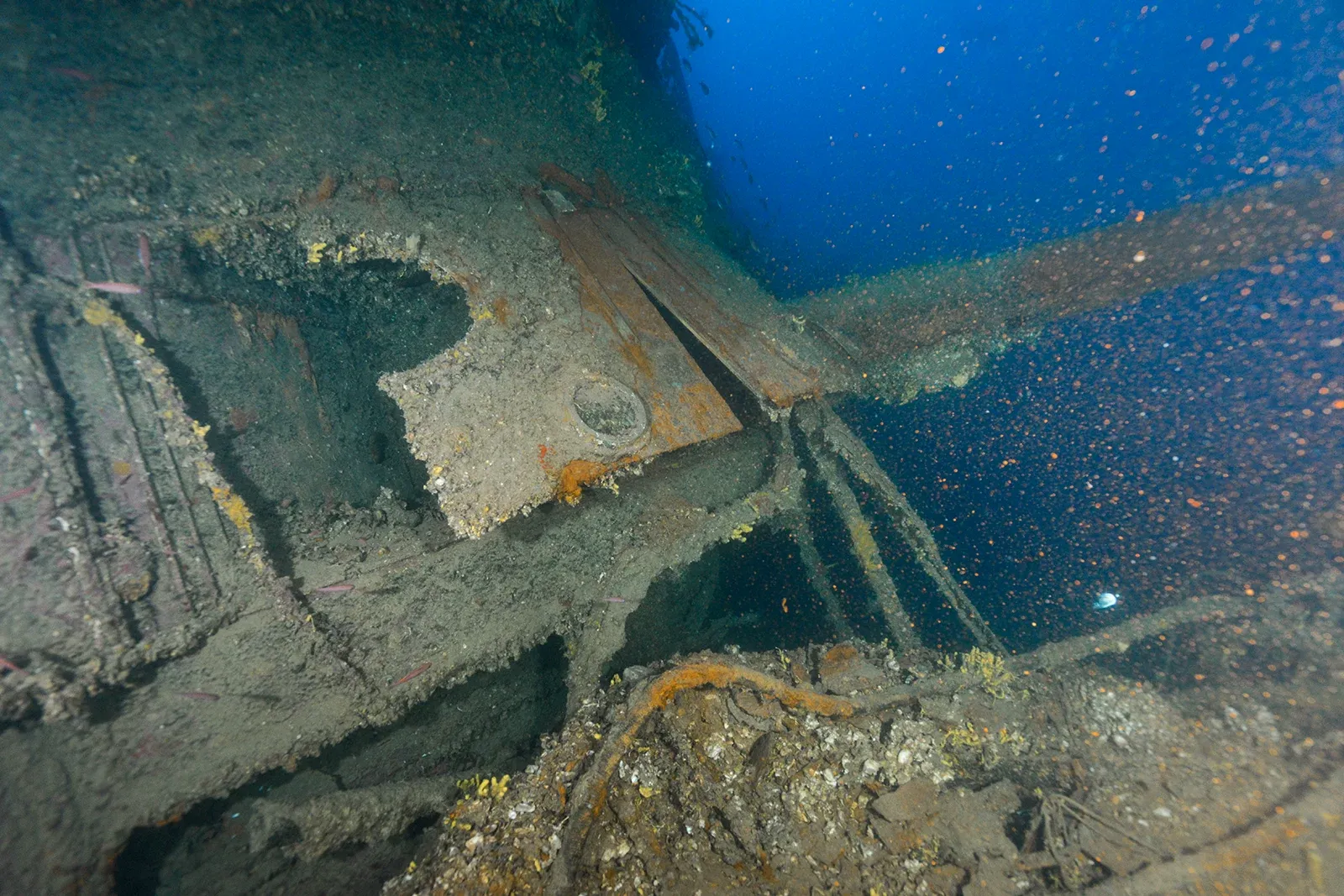 Diving Gelibolu
