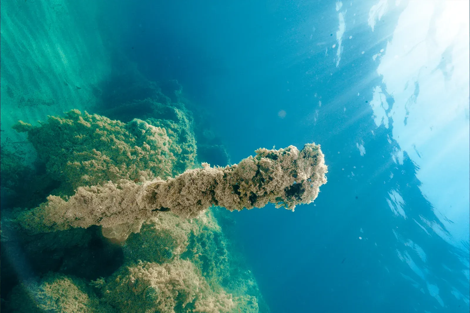Diving Gelibolu