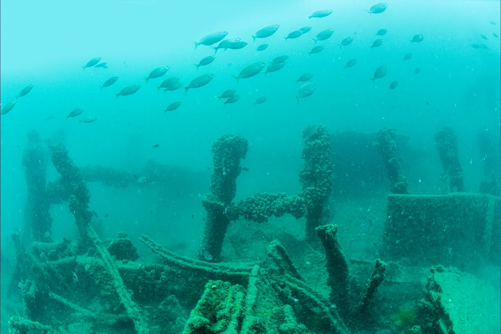 Diving Gelibolu