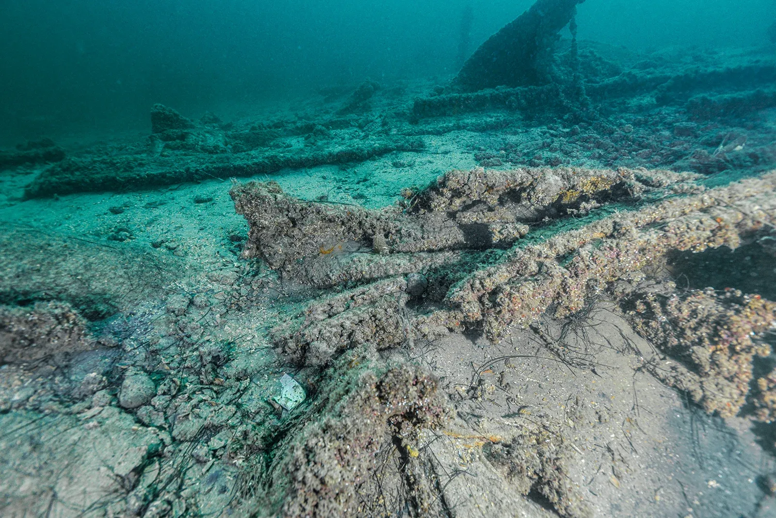 Diving Gelibolu