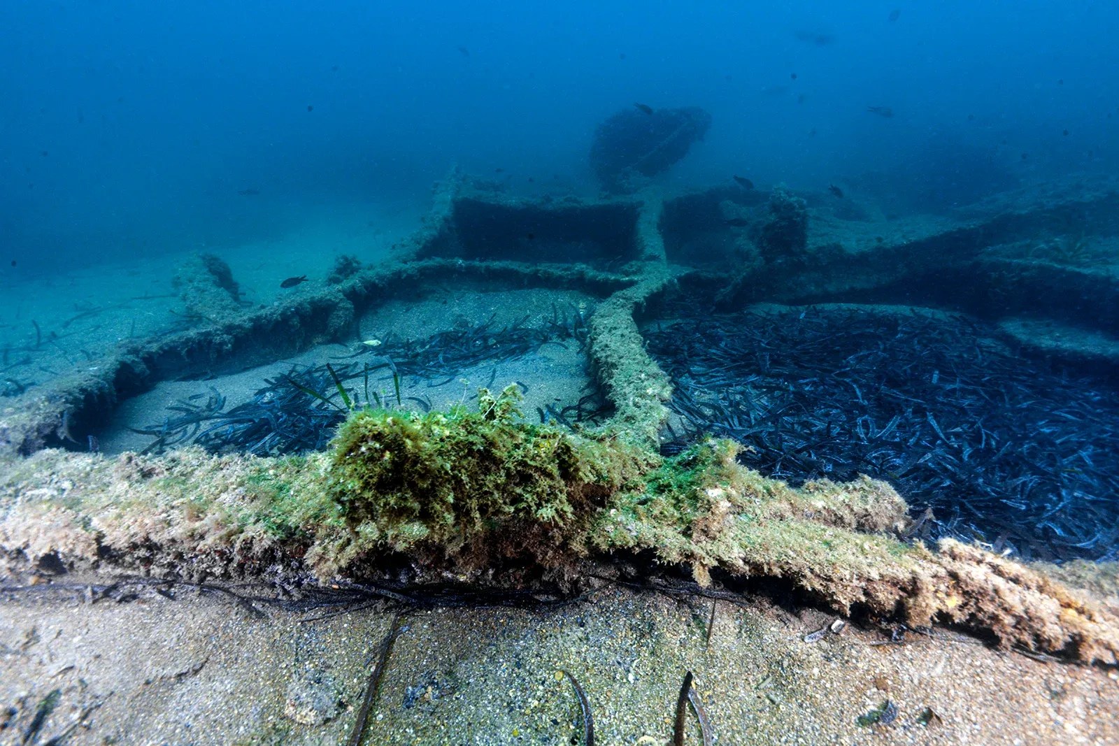 Diving Gelibolu