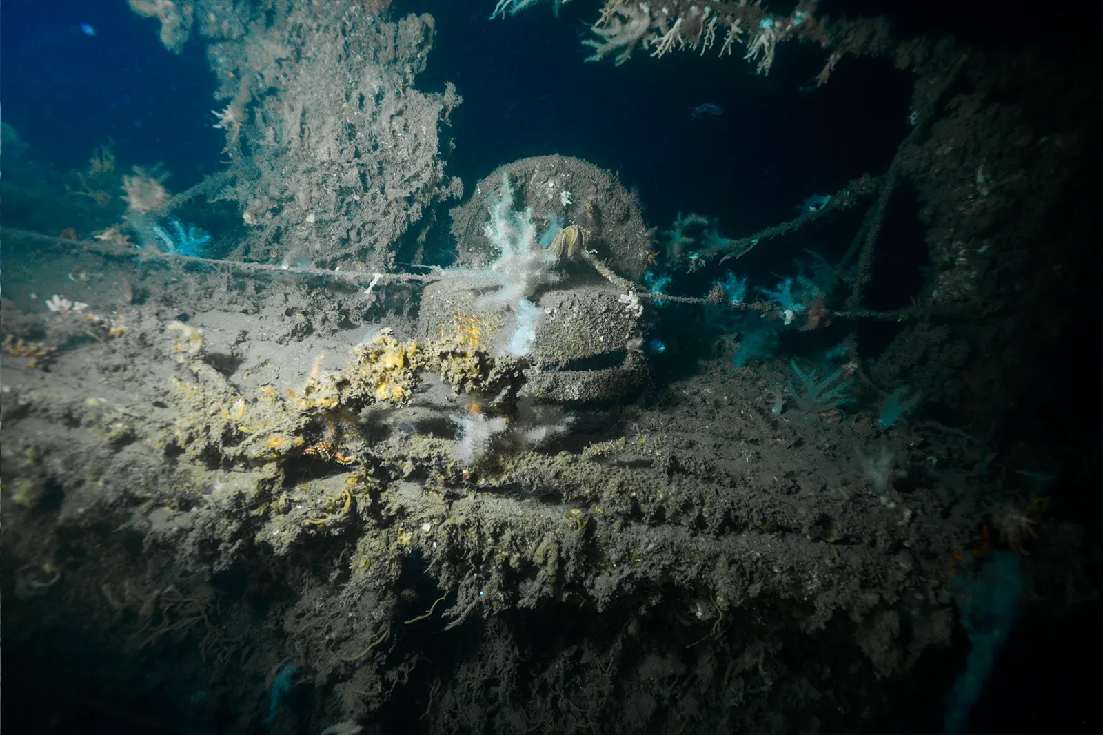 Diving Gelibolu