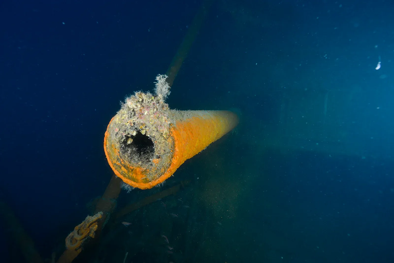 Diving Gelibolu