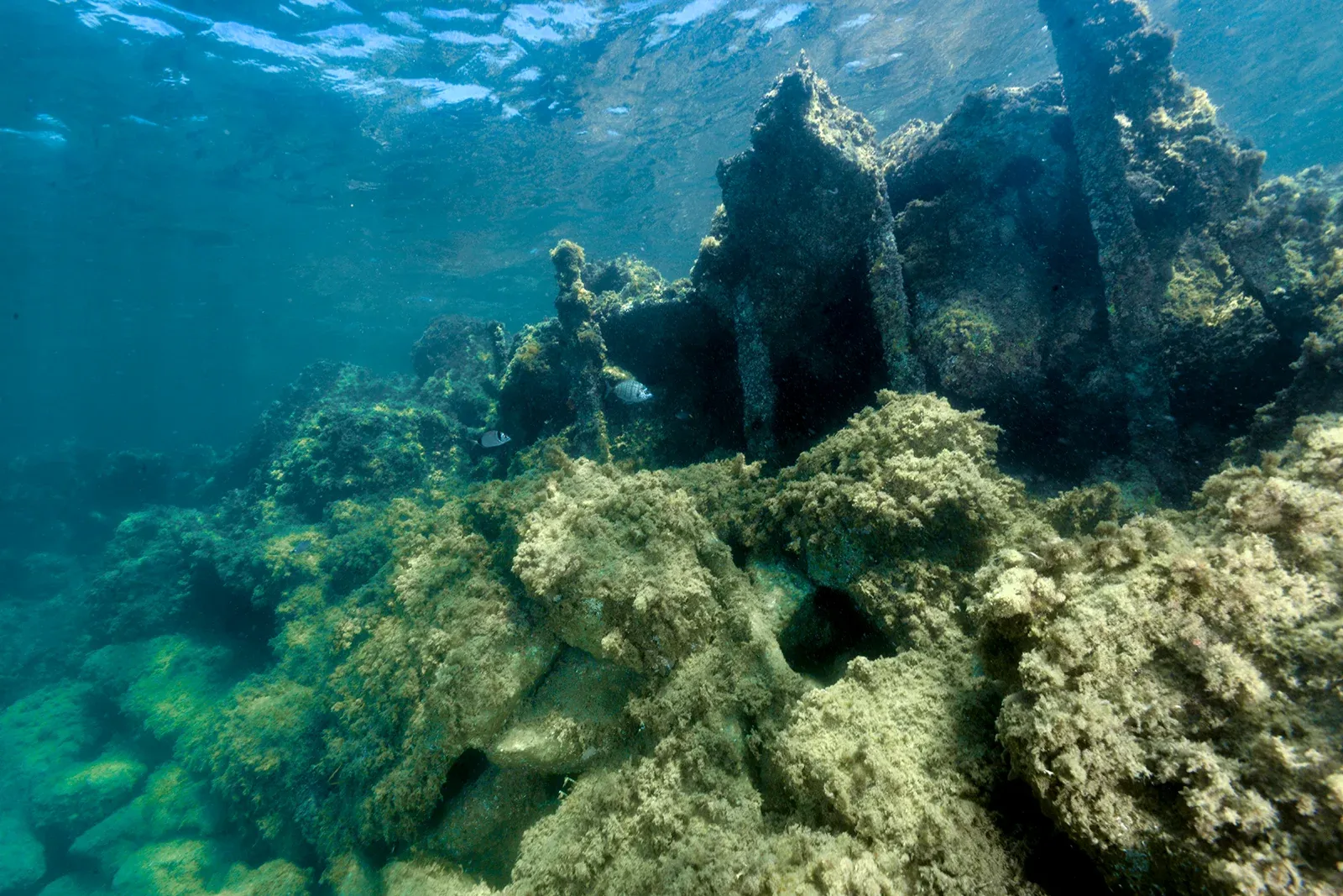 Diving Gelibolu
