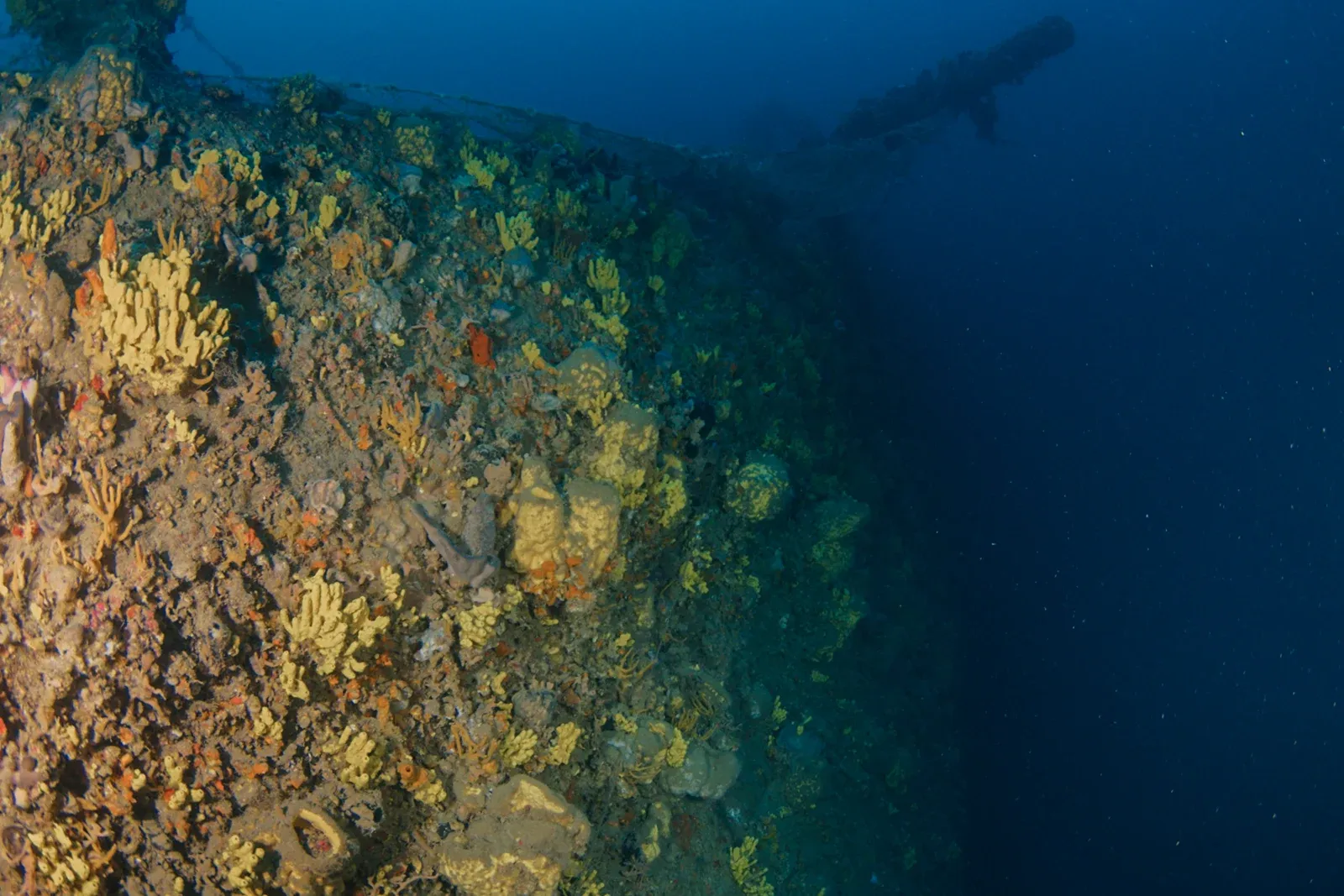 Diving Gelibolu