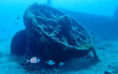 H.M.S. Majestic