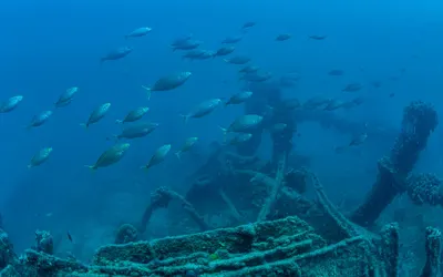 Mesudiye Battleship