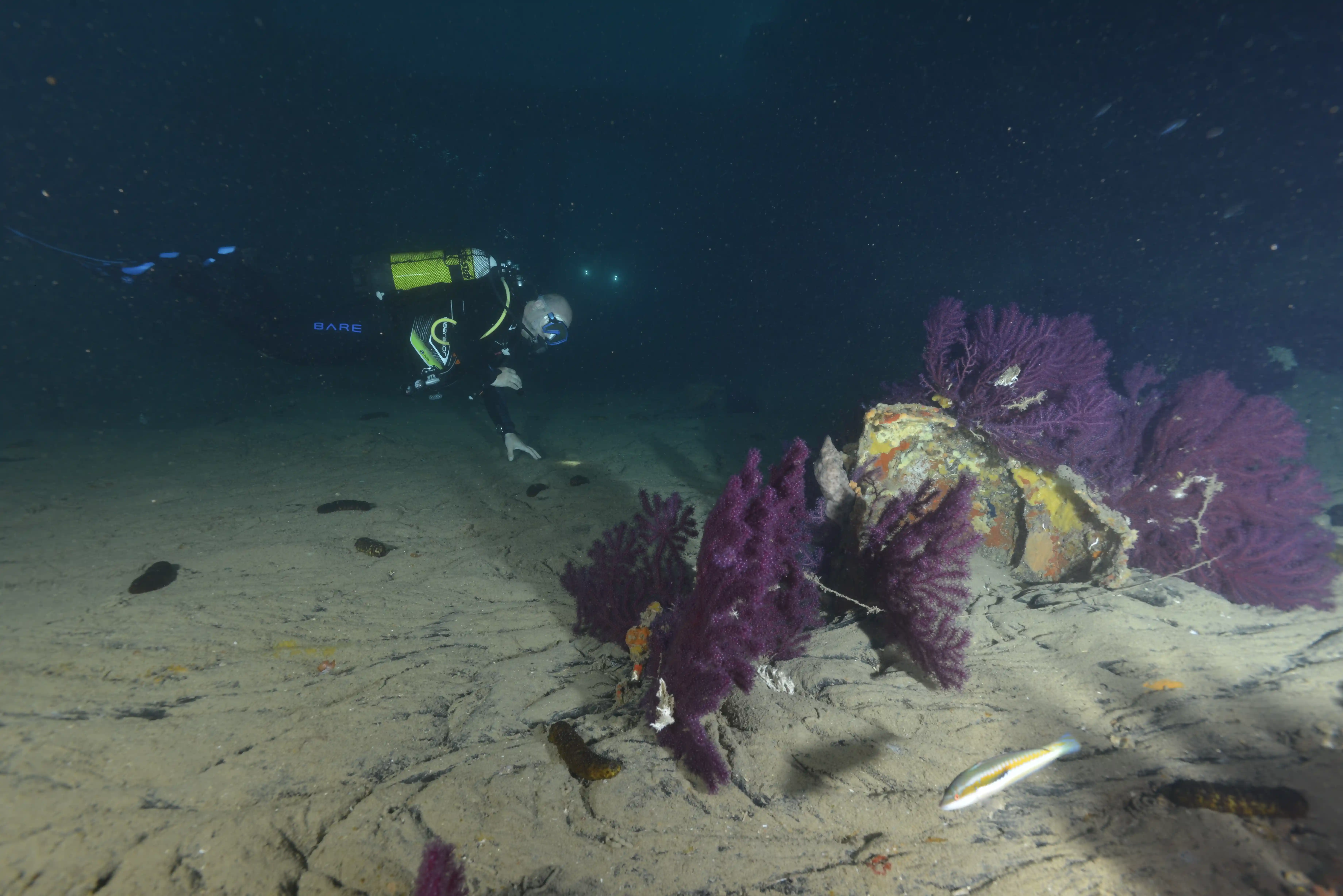 Diving Gelibolu