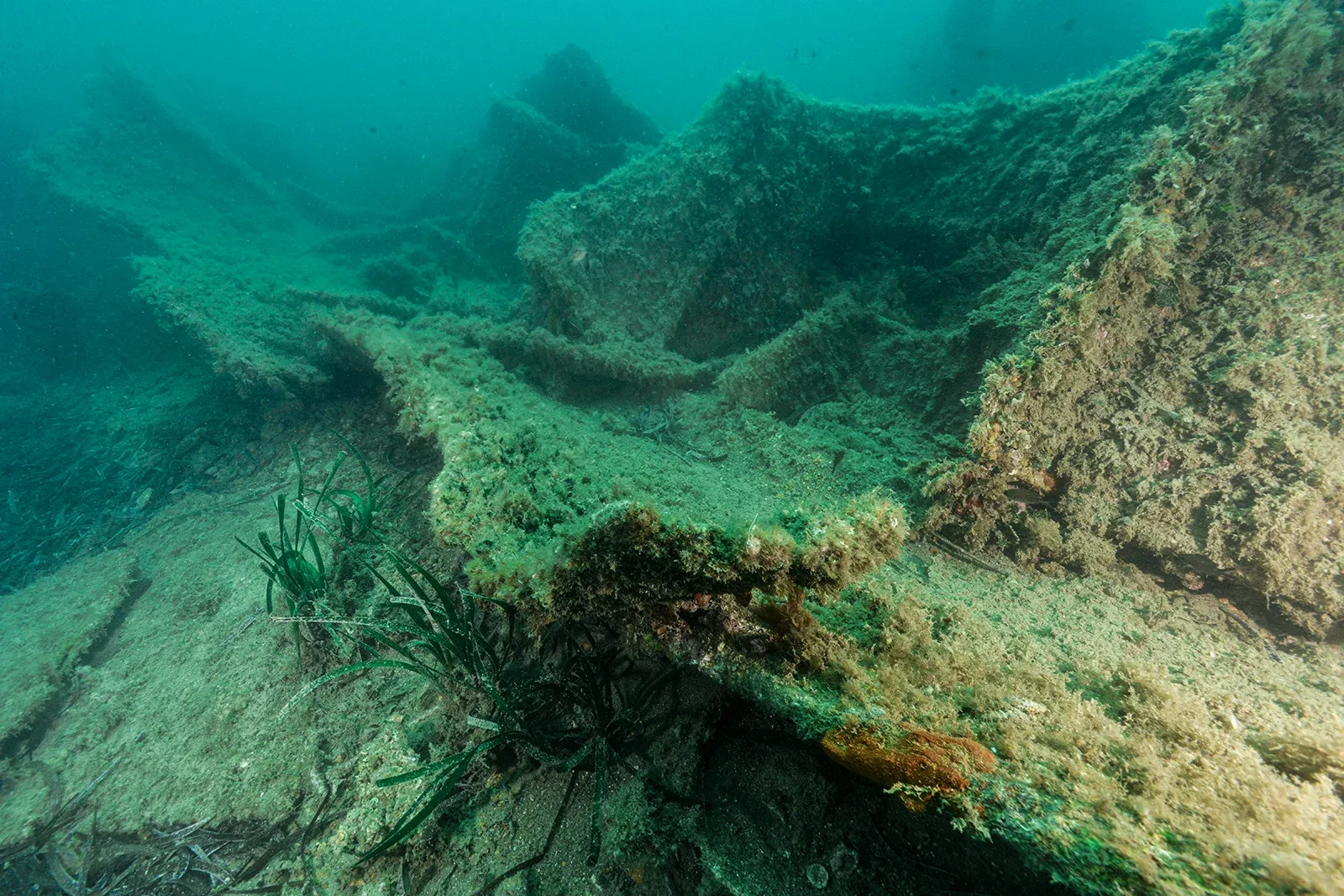 Diving Gelibolu